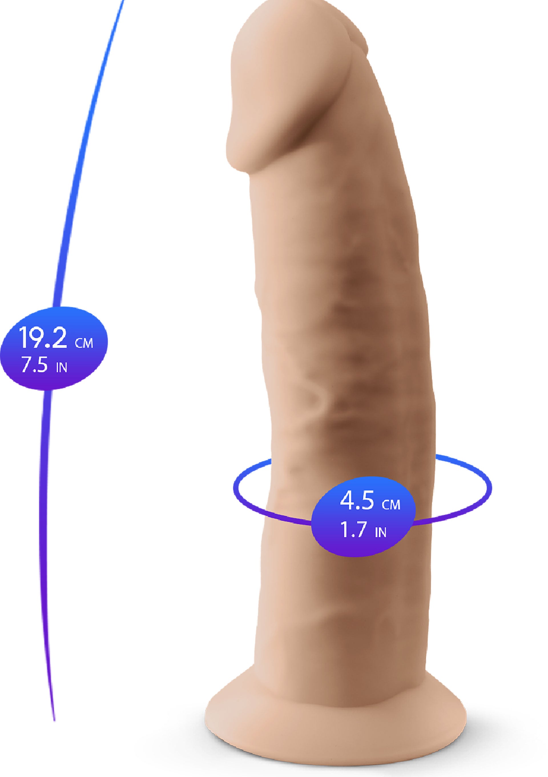 Silex-D Dong Model 7.5 inch