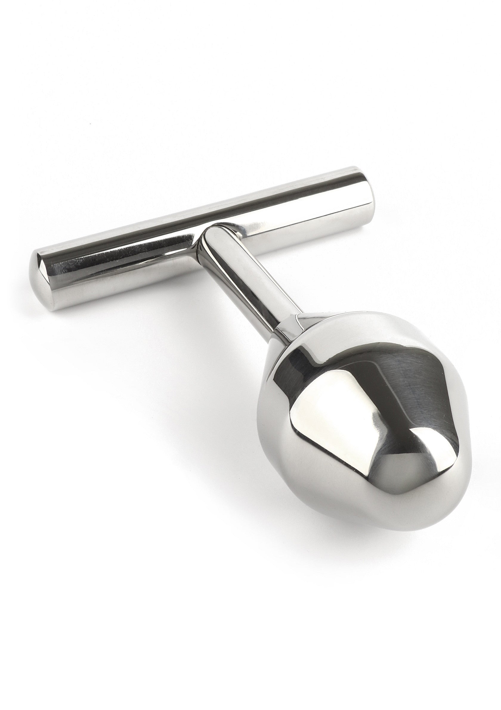 Mr. Steel Pleasure Probe