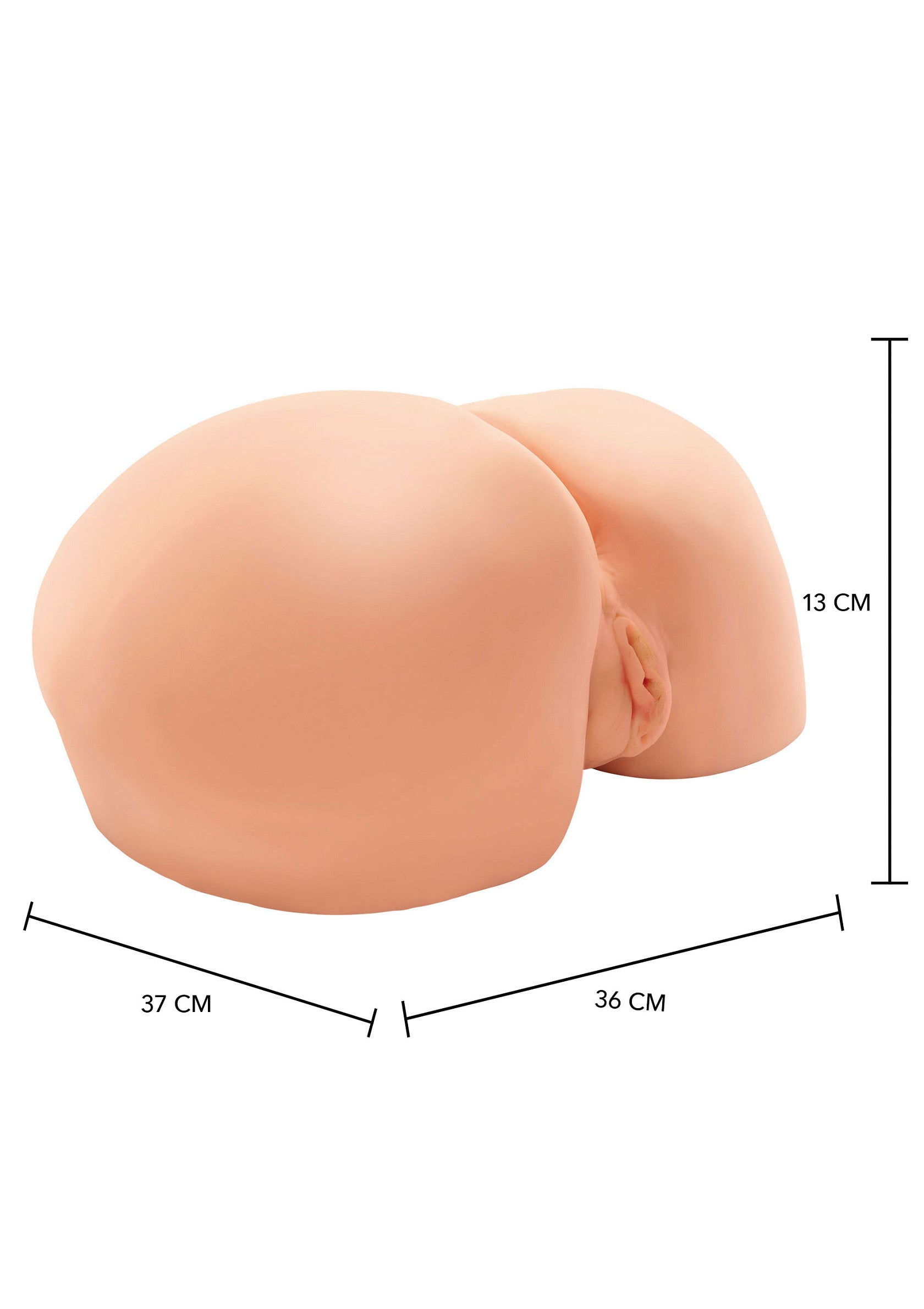 Anus artificiel réaliste avec des dimensions indiquées pour plus de détails et de précision. ; Realistische kunstanus met afmetingen aangegeven voor meer details en precisie.; Realistic artificial anus with dimensions indicated for added detail and precision.