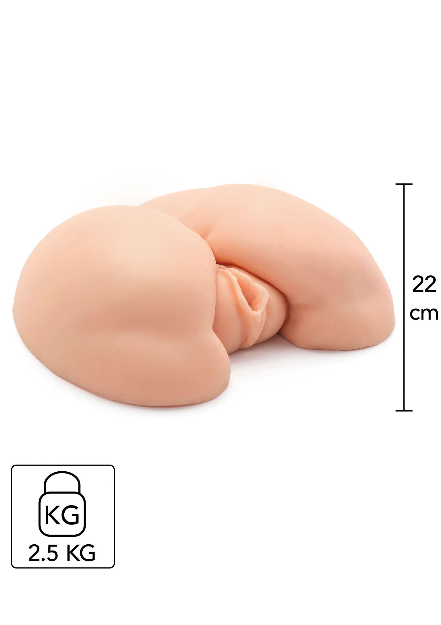 Tête d'entraînement réaliste pour coiffure, 22cm et 2.5kg.; Realistisch oefenhoofd voor kapsels, 22cm en 2.5kg.; Realistic practice head for hairstyles, 22cm and 2.5kg.