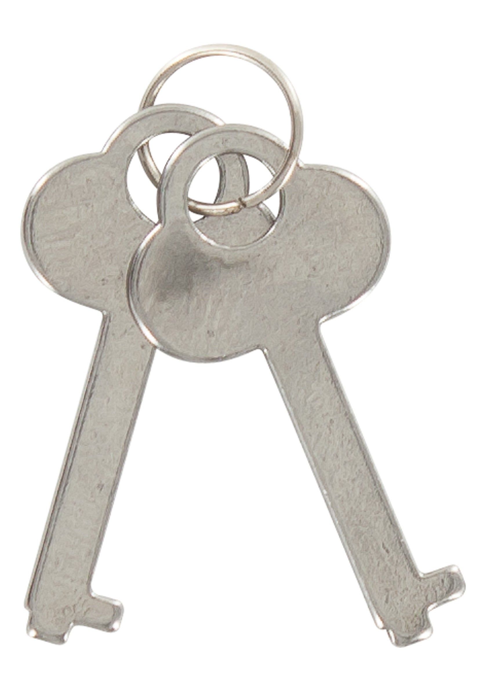 Lot de deux clés en métal argenté sur un anneau. Clés de remplacement idéales pour divers usages, serrures et coffres. Robustes et fiables.; Set van twee zilverkleurige metalen sleutels aan een ring. Ideale vervangingssleutels voor diverse toepassingen, sloten en kluizen. Robuust en betrouwbaar.; Set of two silver metal keys on a ring. Ideal replacement keys for various uses, locks, and safes. Sturdy and reliable.