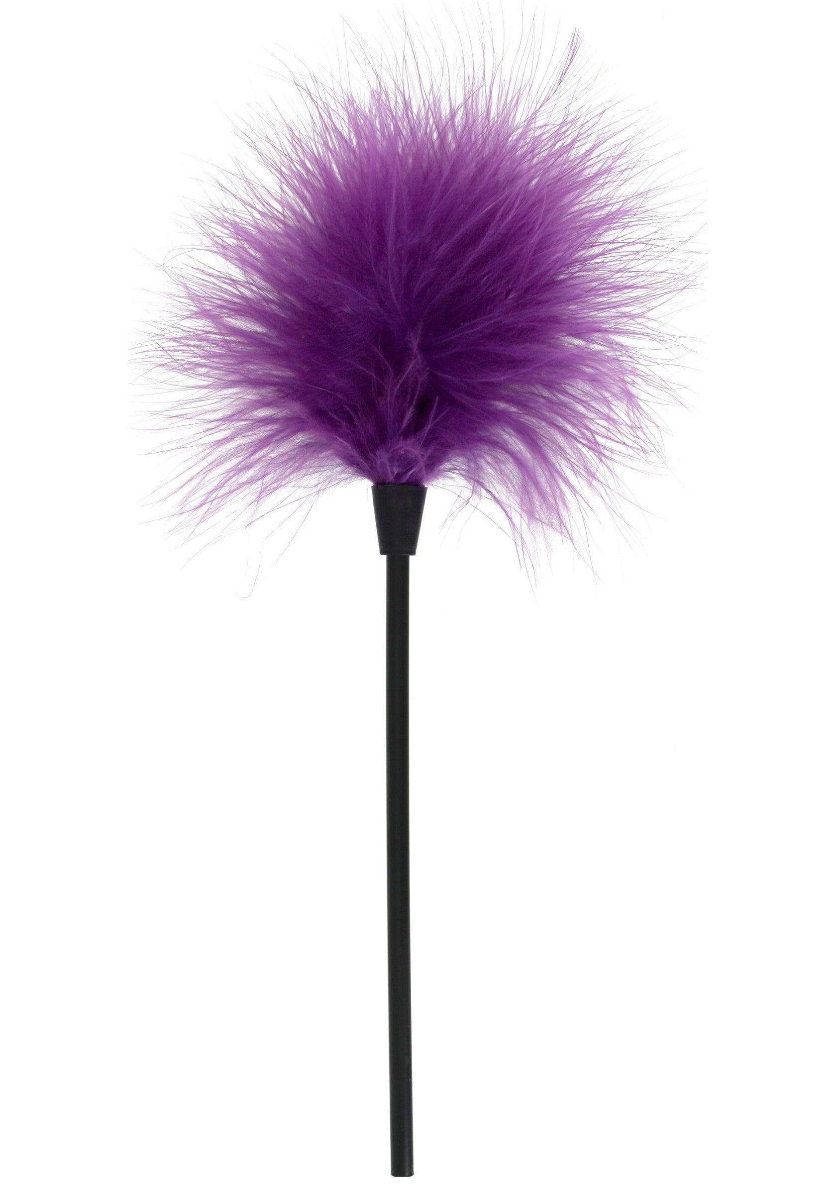 Plumeau violet amusant avec manche noir.; Paarse veren plumeau met een zwarte steel.; Purple feather teaser with black handle.