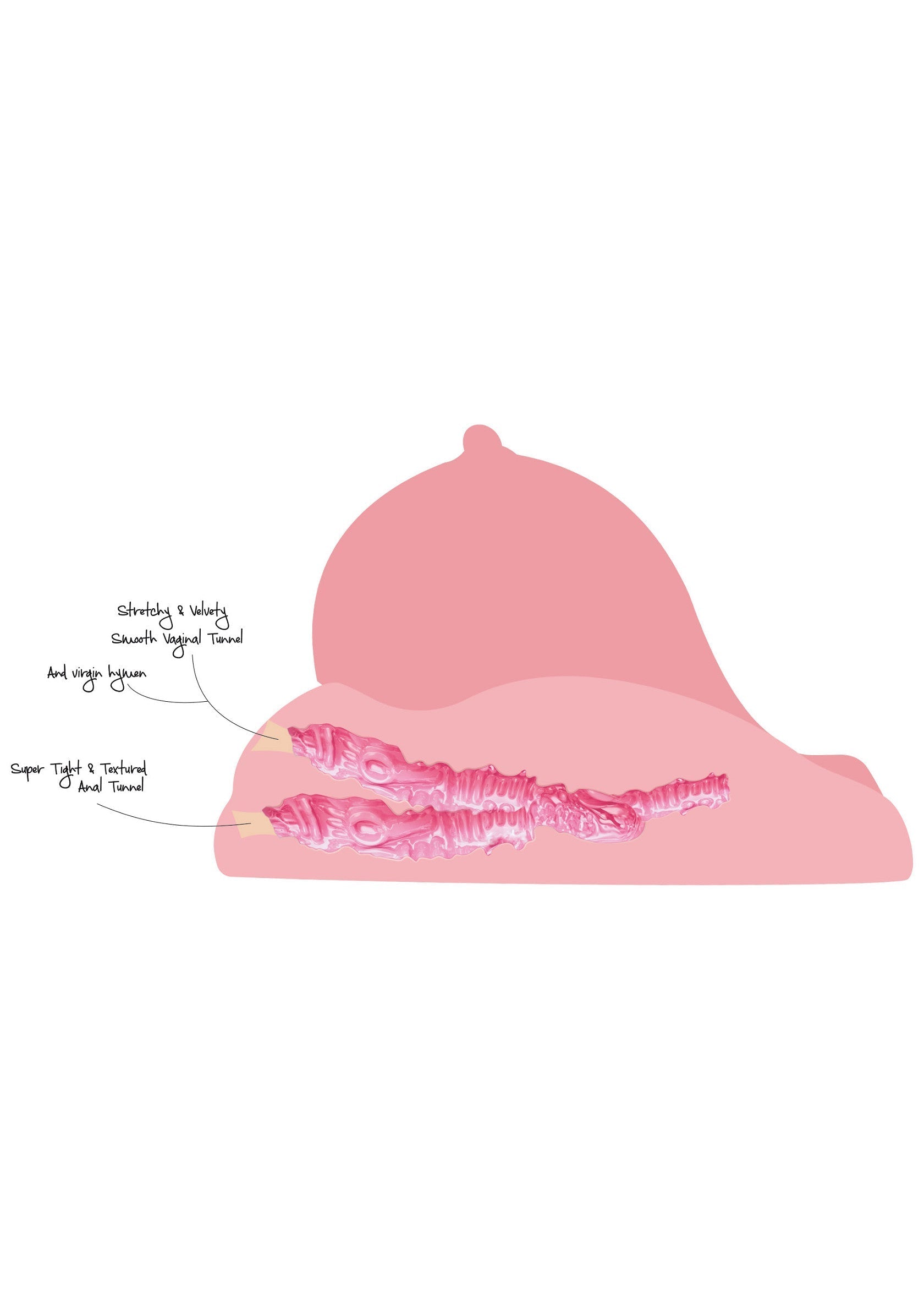Diagramme rose de sextoy avec des tunnels texturés.; Roze seksspeeltjesdiagram met getextureerde tunnels.; Pink sex toy diagram with textured tunnels.