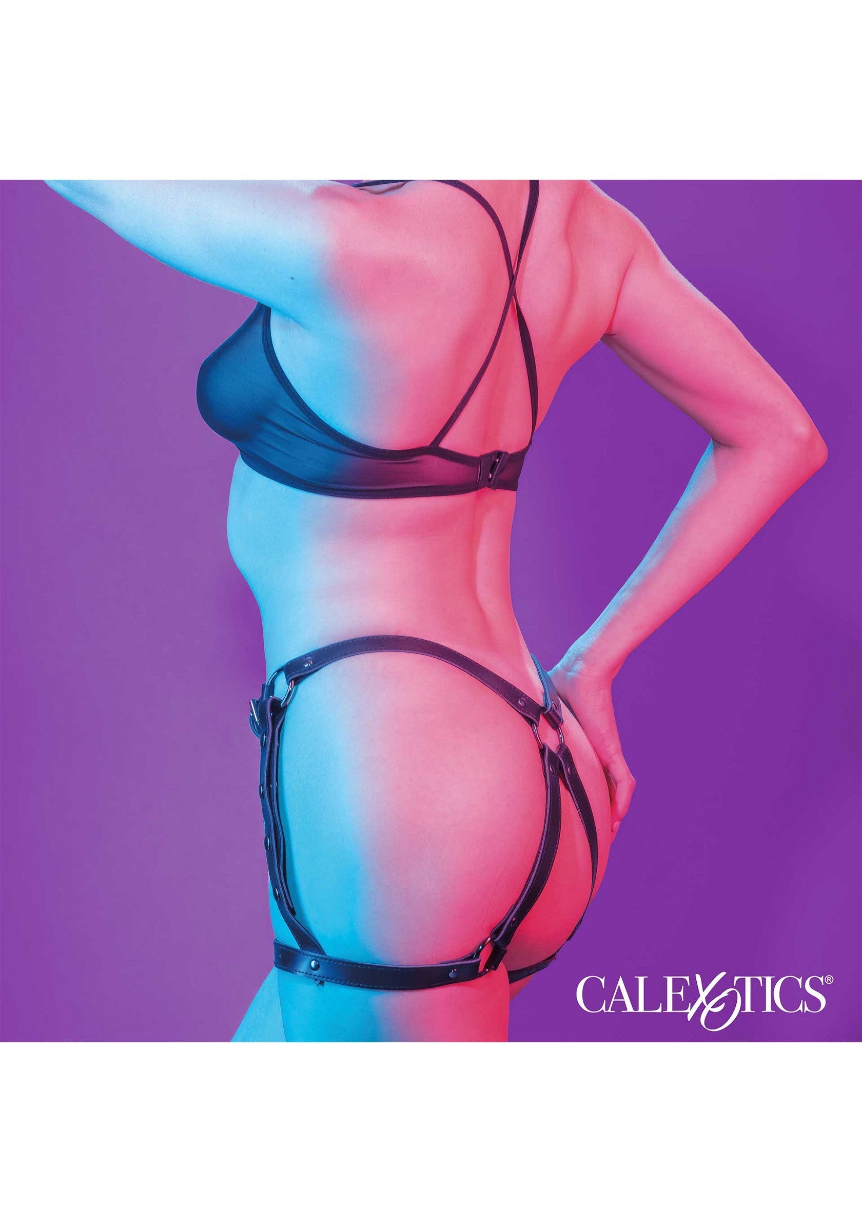 Lingerie Calexotics sexy: Soutien-gorge et harnais de jambe noir. Ajoutez une touche d'audace à votre garde-robe!; Sexy Calexotics lingerie: bh en zwarte been harnas. Voeg een gedurfde toets toe aan je garderobe!; Sexy Calexotics lingerie: Bra and black leg harness. Add a daring touch to your wardrobe!