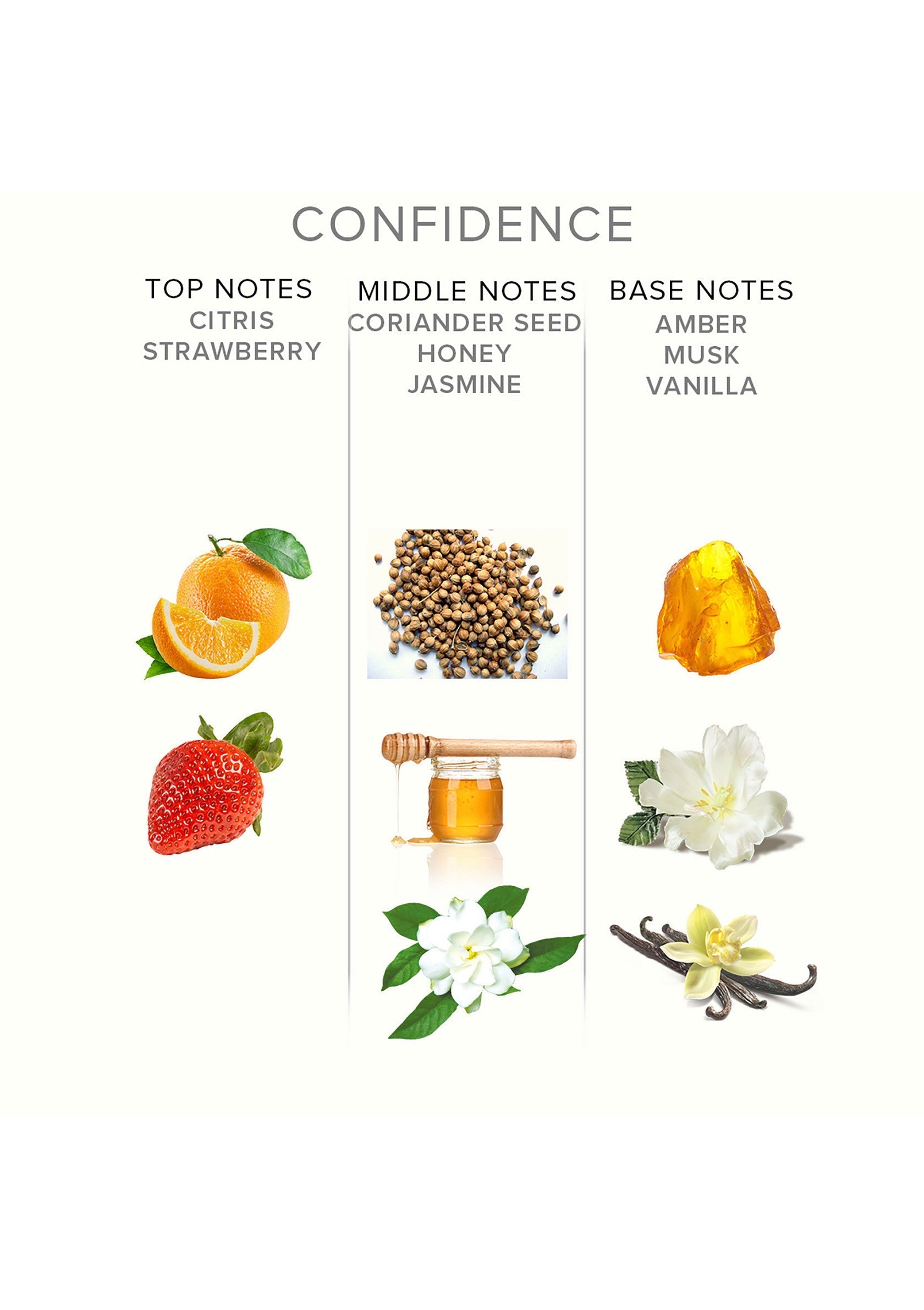 Notes parfumées : agrumes, fraise, coriandre, miel, jasmin, ambre, musc, vanille pour un parfum qui inspire la confiance.; Parfumnoten: citrus, aardbei, korianderzaad, honing, jasmijn, amber, muskus, vanille voor een zelfverzekerde geur.; Fragrance notes: citrus, strawberry, coriander seed, honey, jasmine, amber, musk, vanilla for a confidence-inspiring scent.