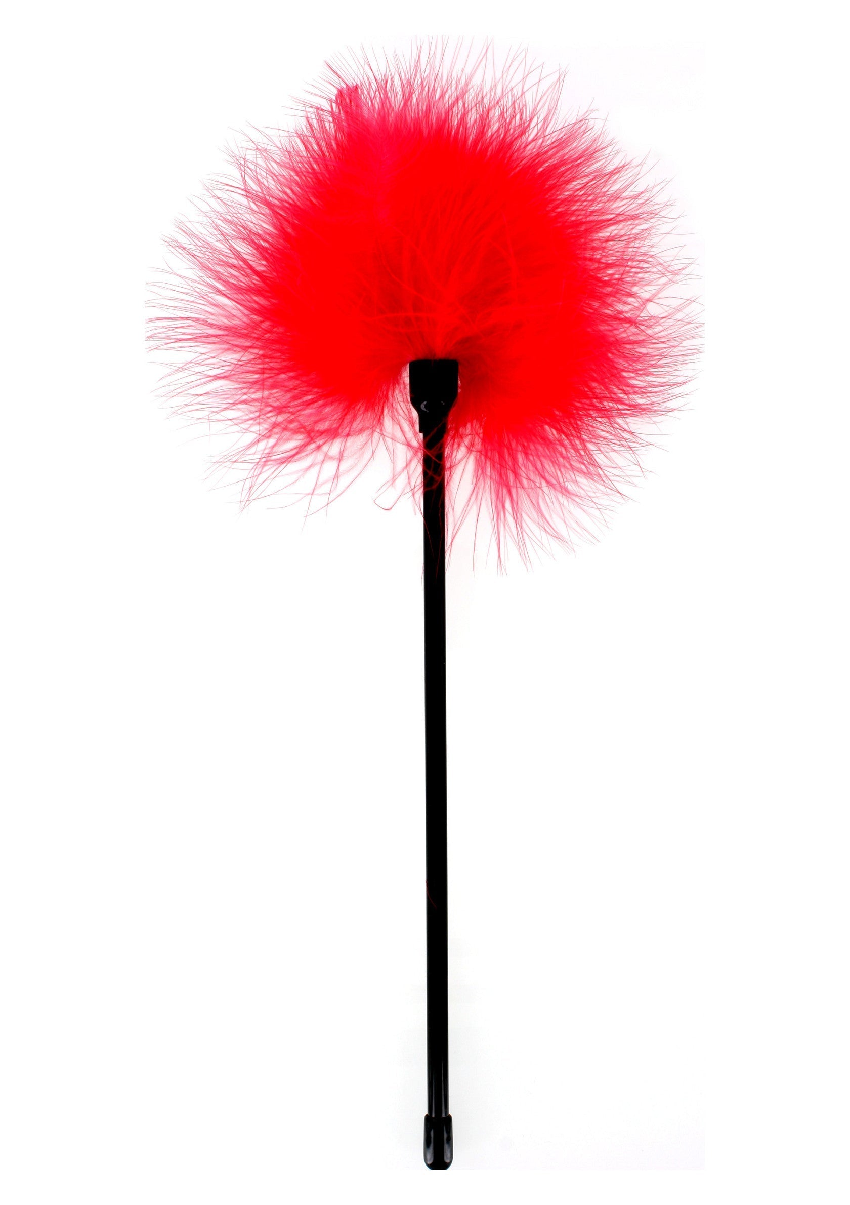 Plumeau rouge avec manche noir. Accessoire coquin et sensuel.; Rode veren plumeau met zwarte handgreep. Speels en sensueel accessoire.; Red feather duster with black handle. Playful and sensual accessory.