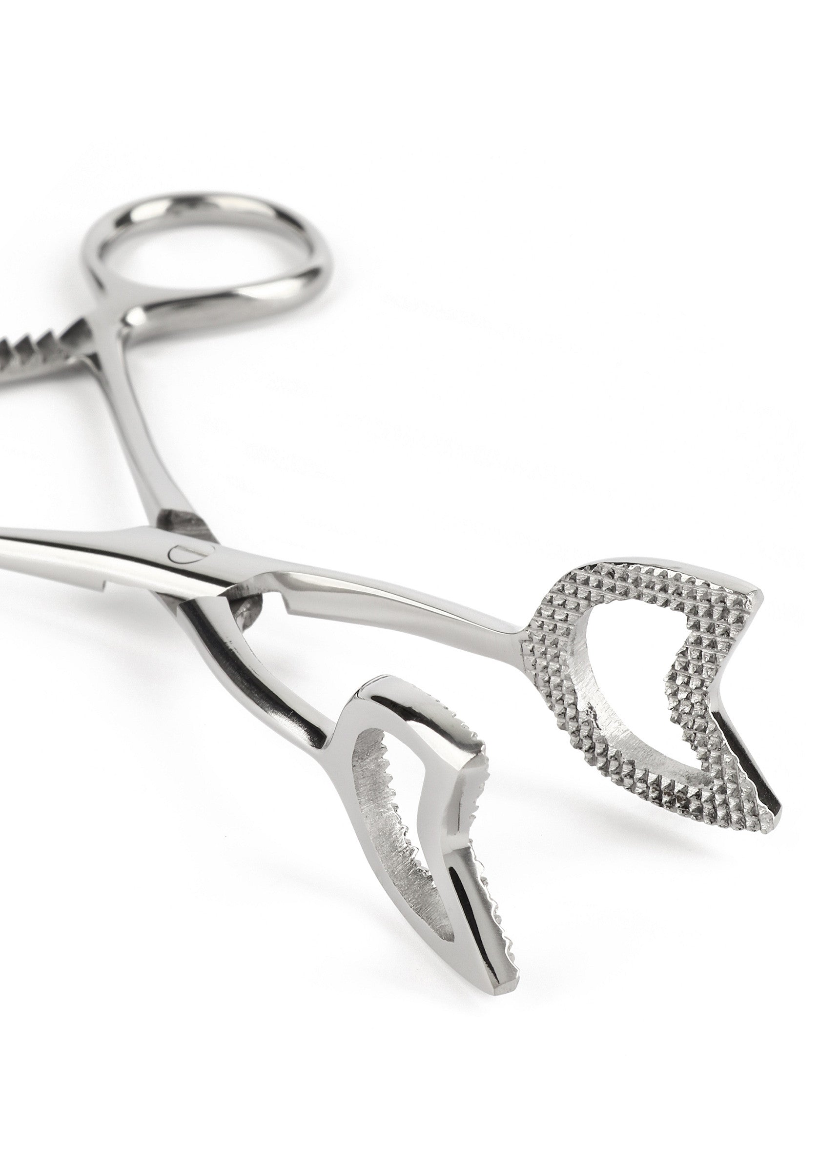 Pince à biopsie chirurgicale en acier inoxydable, outil médical précis pour les interventions.; Chirurgische biopsie pincet van roestvrij staal, precisie medisch hulpmiddel voor ingrepen.; Stainless steel surgical biopsy forceps, precision medical tool for procedures.