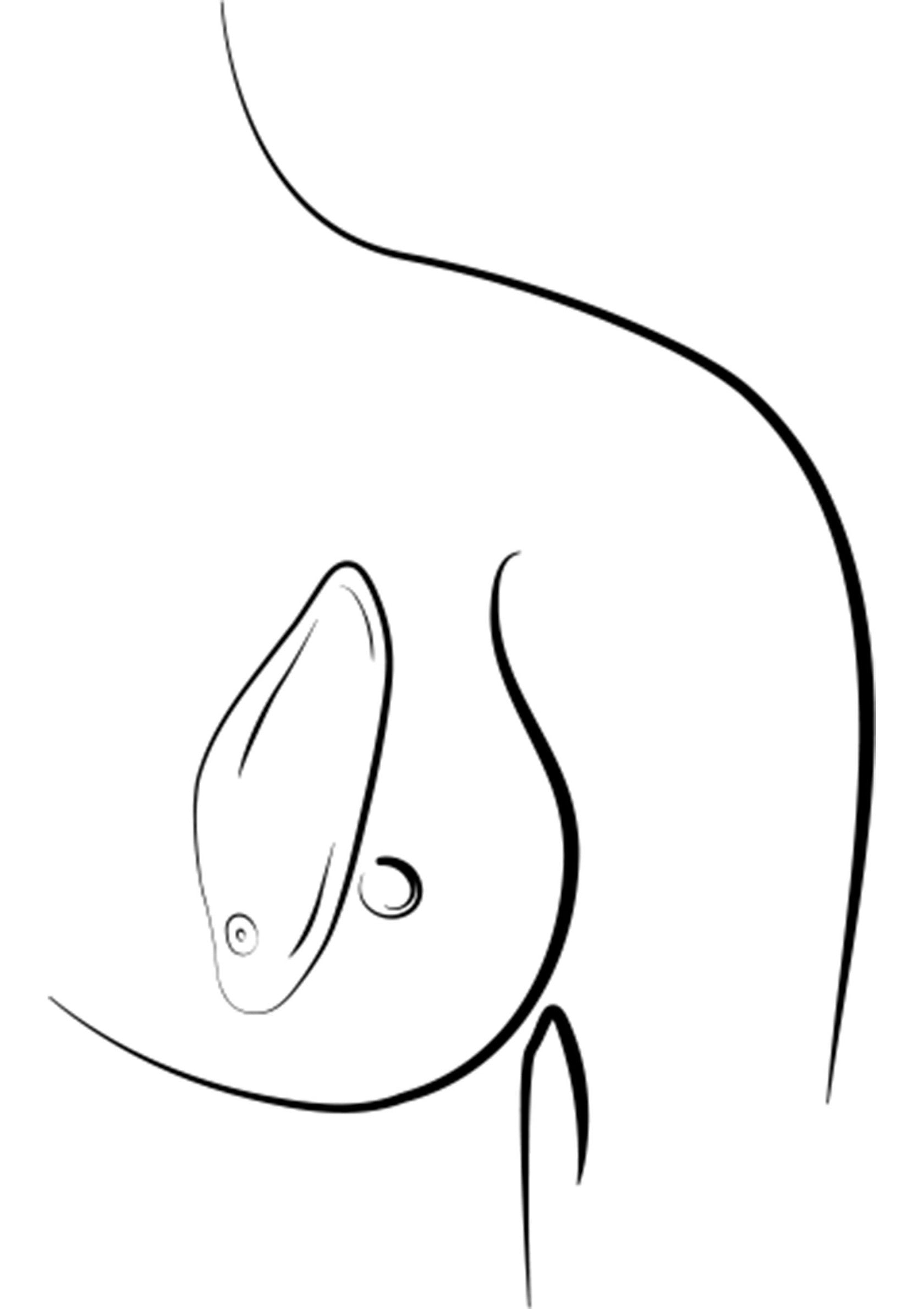 Illustration minimaliste d'une oreille percée, idéale pour les amateurs de piercing et de bijoux délicats.; Minimalistische illustratie van een gepiercet oor, ideaal voor liefhebbers van piercings en delicate sieraden.; Minimalist line art of a pierced ear, perfect for piercing lovers and delicate jewelry enthusiasts.