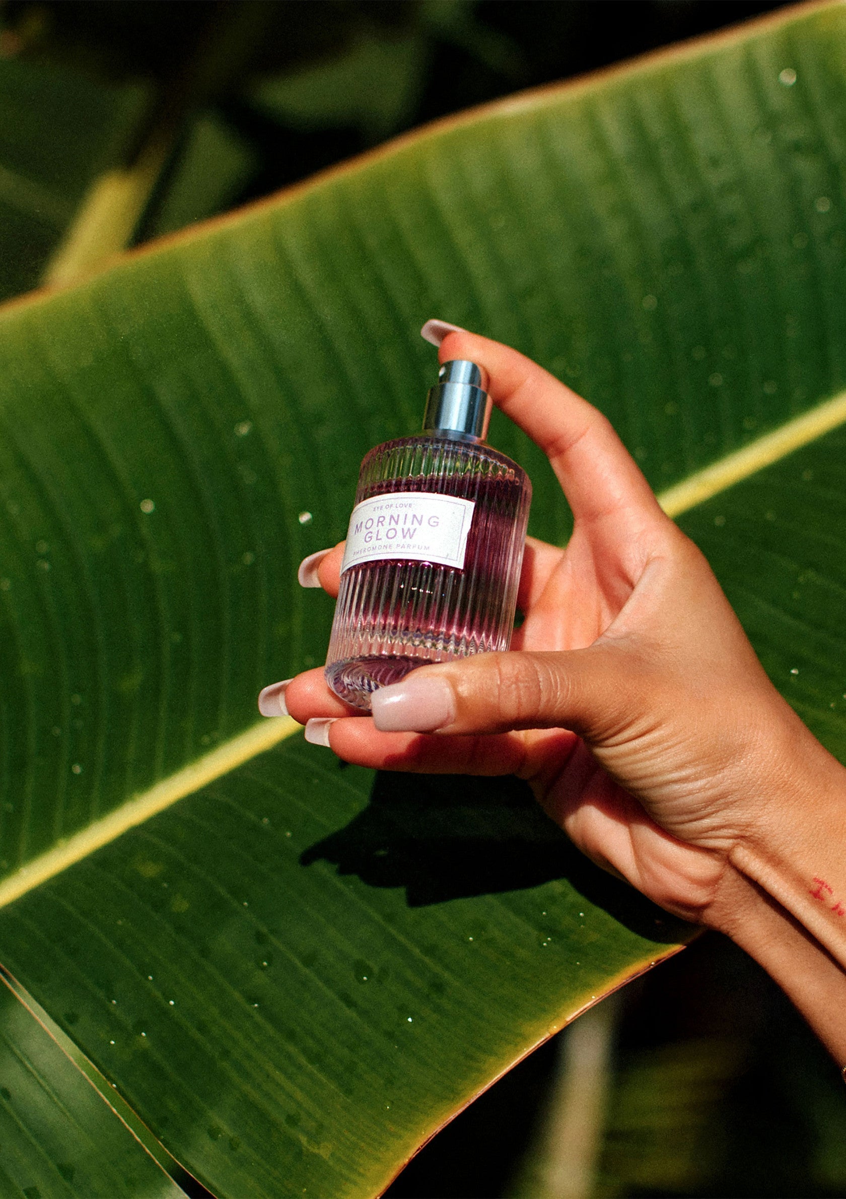 Parfum 'Morning Glow' exotique et luxueux, parfait pour une touche de fraîcheur tropicale. Achetez maintenant pour une senteur ensoleillée!; Exotische 'Morning Glow' parfum, perfect voor een vleugje tropische frisheid. Koop nu voor een zonnige geur!; Exotic 'Morning Glow' perfume, perfect for a touch of tropical freshness. Buy now for a sunny scent!