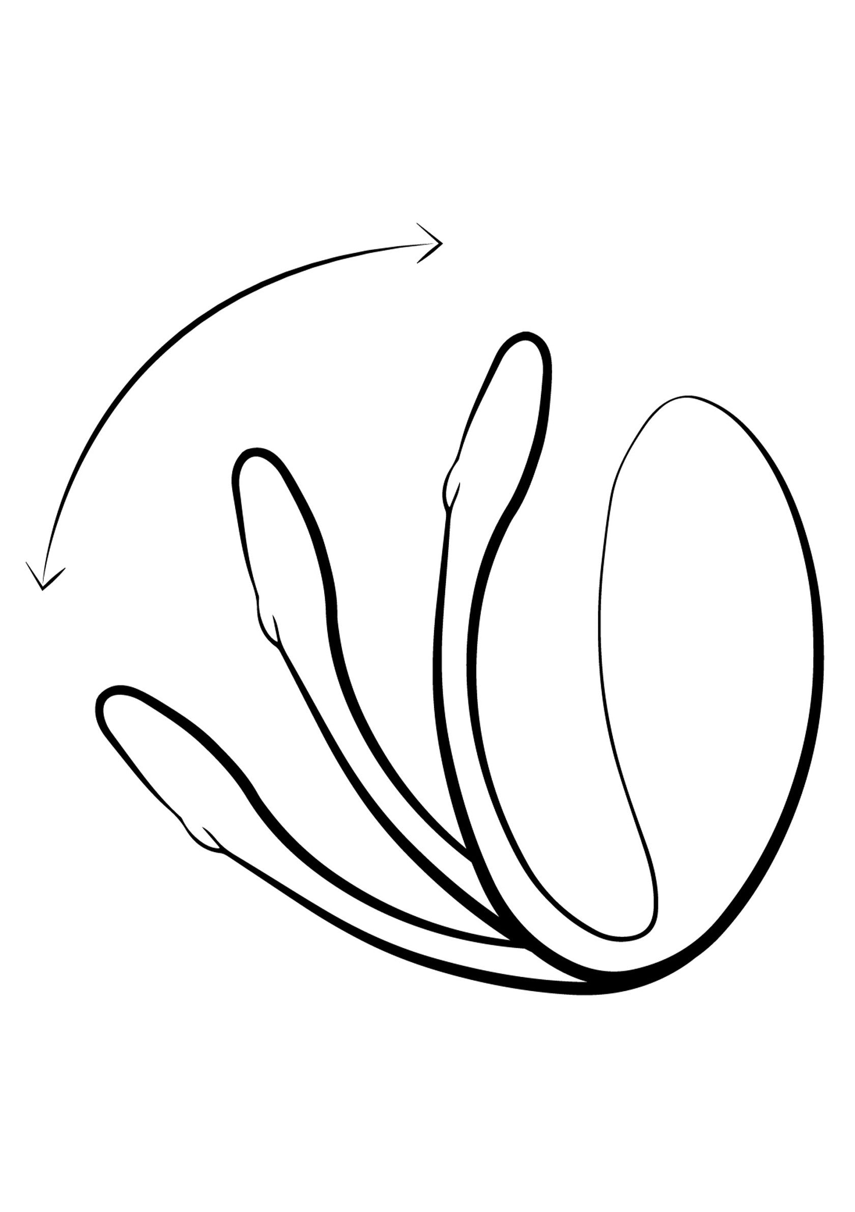 Anneau vibrant rotatif pour couple, plaisir garanti. Explorez le plaisir à deux avec cet accessoire excitant et innovant.; Roterende vibrerende ring voor koppels, gegarandeerd plezier. Ontdek samen plezier met dit opwindende en innovatieve accessoire.; Rotating vibrating ring for couples, guaranteed pleasure. Explore fun together with this exciting and innovative accessory.