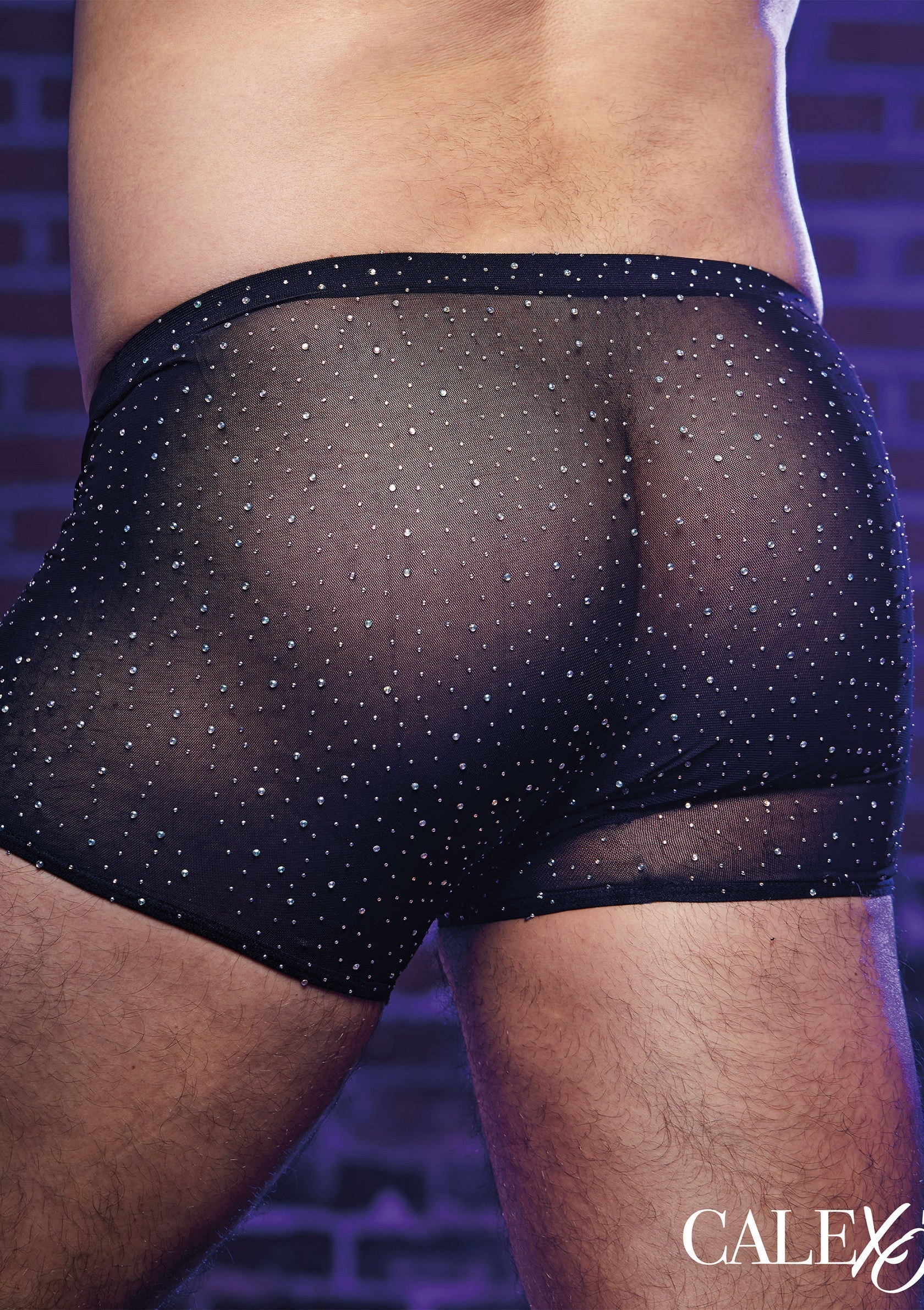 Boxer transparent noir avec des strass pour homme. Collection Calexics. Sexy et confortable.; Zwarte, transparante boxershort met strass voor mannen. Calexics collectie. Sexy en comfortabel.; Men's black sheer mesh boxer briefs with rhinestones. Calexics collection. Sexy and comfortable.