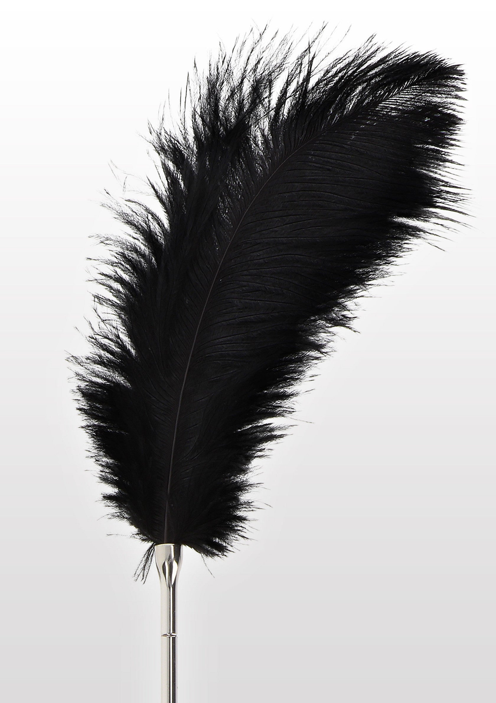 Plumeau noir élégant avec manche en métal. Idéal pour le dépoussiérage délicat ou pour une touche sophistiquée.; Elegante zwarte plumeau met metalen handvat. Ideaal voor het delicaat afstoffen of voor een verfijnde toets.; Elegant black feather duster with metal handle. Ideal for gentle dusting or for a sophisticated touch.