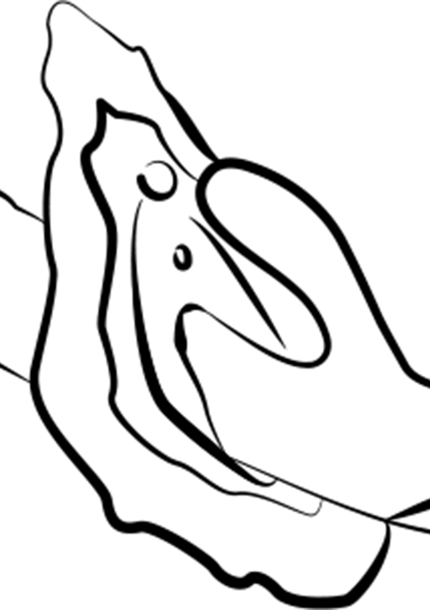 Dessin minimaliste d'une personne en manteau. Graphique simple et élégant pour vos produits.; Minimalistische tekening van een persoon in een jas. Eenvoudige en elegante grafiek voor uw producten.; Minimalist drawing of a person in a coat. Simple and elegant graphic for your products.