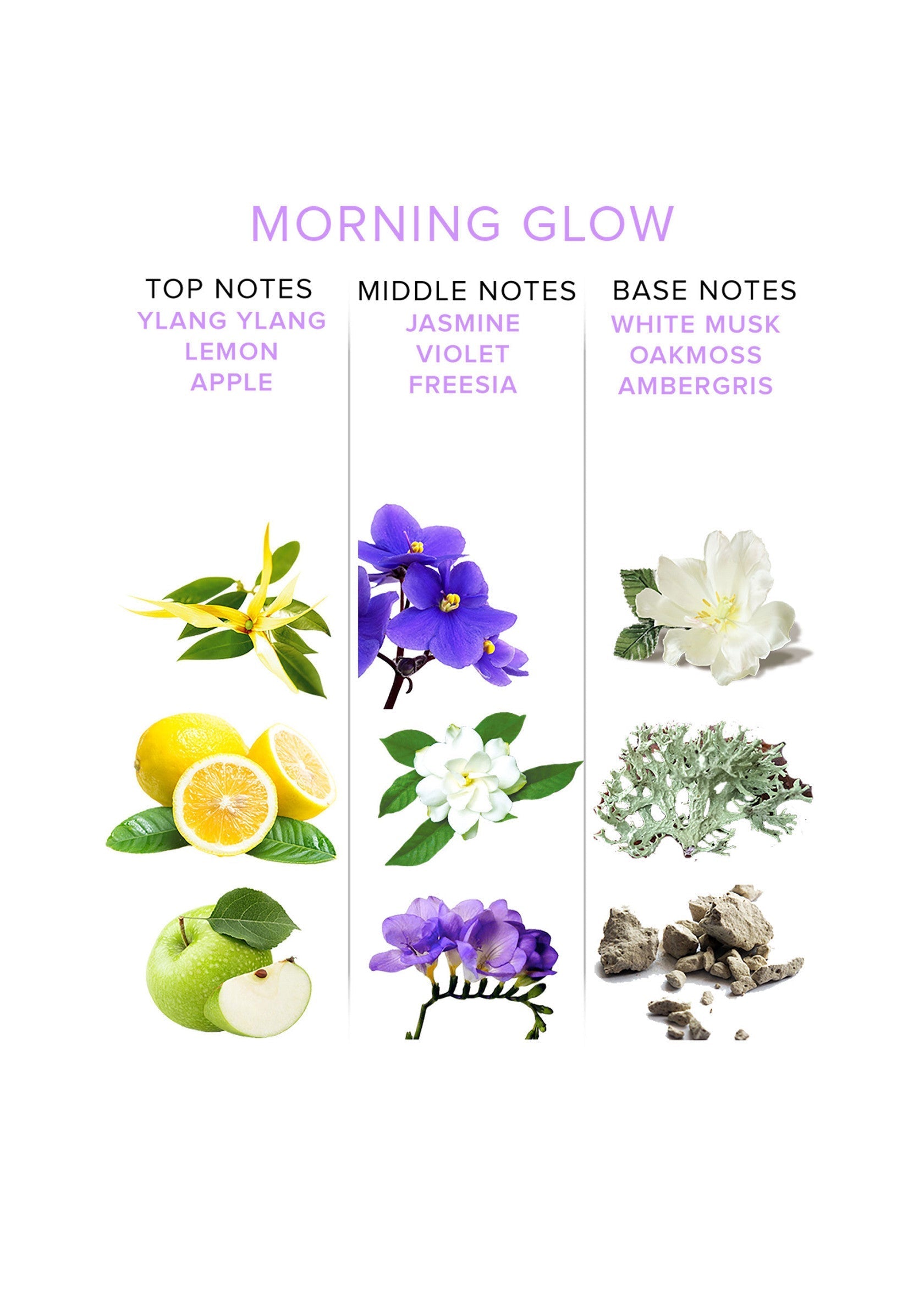 Notes olfactives : Ylang Ylang, Citron, Pomme, Jasmin, Violette, Freesia, Musc Blanc, Mousse de Chêne, Ambre Gris.; Geurnoten: Ylang Ylang, Citroen, Appel, Jasmijn, Viooltje, Freesia, Witte Musk, Eikenmos, Ambergris.; Scent notes: Ylang Ylang, Lemon, Apple, Jasmine, Violet, Freesia, White Musk, Oakmoss, Ambergris.