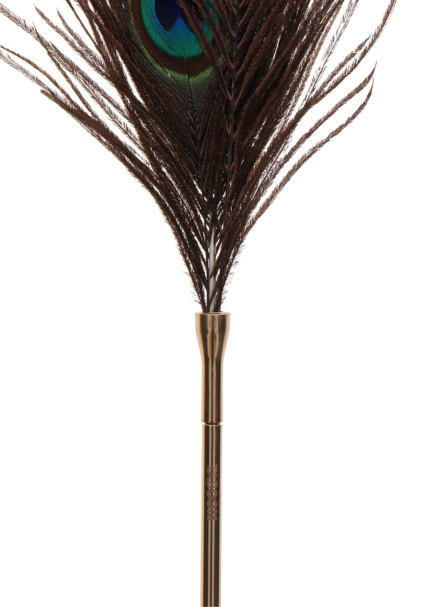 Plume de paon décorative avec manche doré, parfaite pour ajouter une touche d'élégance à votre intérieur.; Decoratieve pauwenveer met gouden handvat, perfect om een vleugje elegantie aan uw interieur toe te voegen.; Decorative peacock feather with gold handle, perfect for adding a touch of elegance to your home décor.