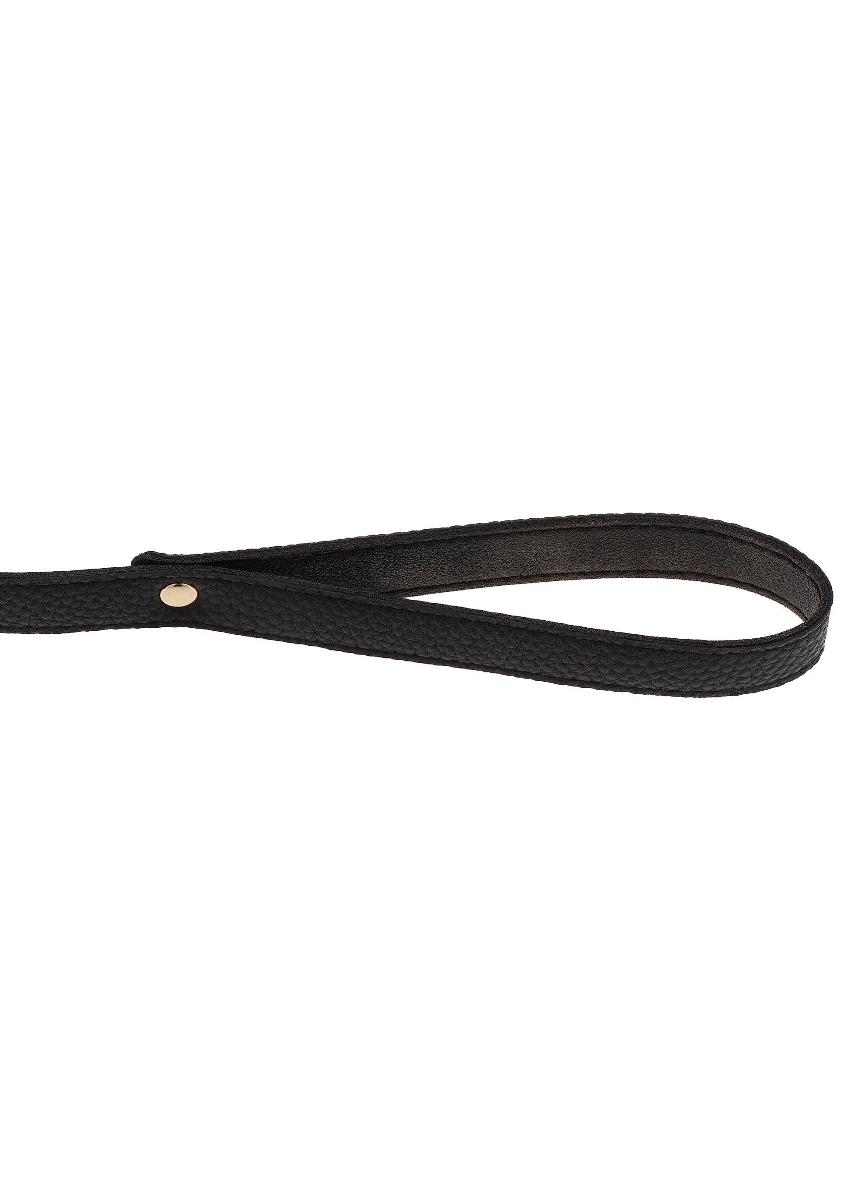 Taboom Statement Collar and leash