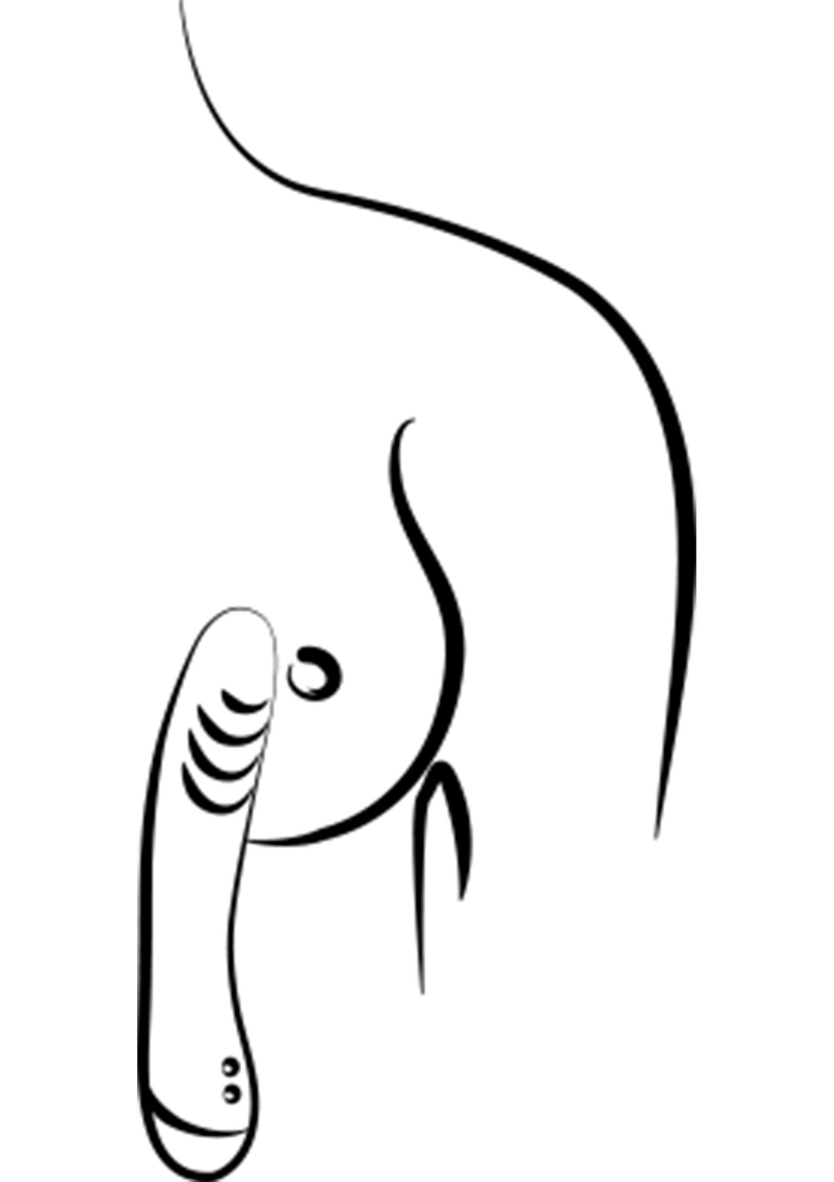 Illustration érotique minimaliste : corps de femme et jouet sexuel, noir sur fond blanc. Pour adultes.; Minimalistische erotische illustratie: vrouwelijk lichaam en speeltje, zwart op wit. Alleen voor volwassenen.; Minimalist erotic illustration: woman's body and sex toy, black on white. Adults only.