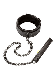 CalExotics Boundless Collar & Leash
