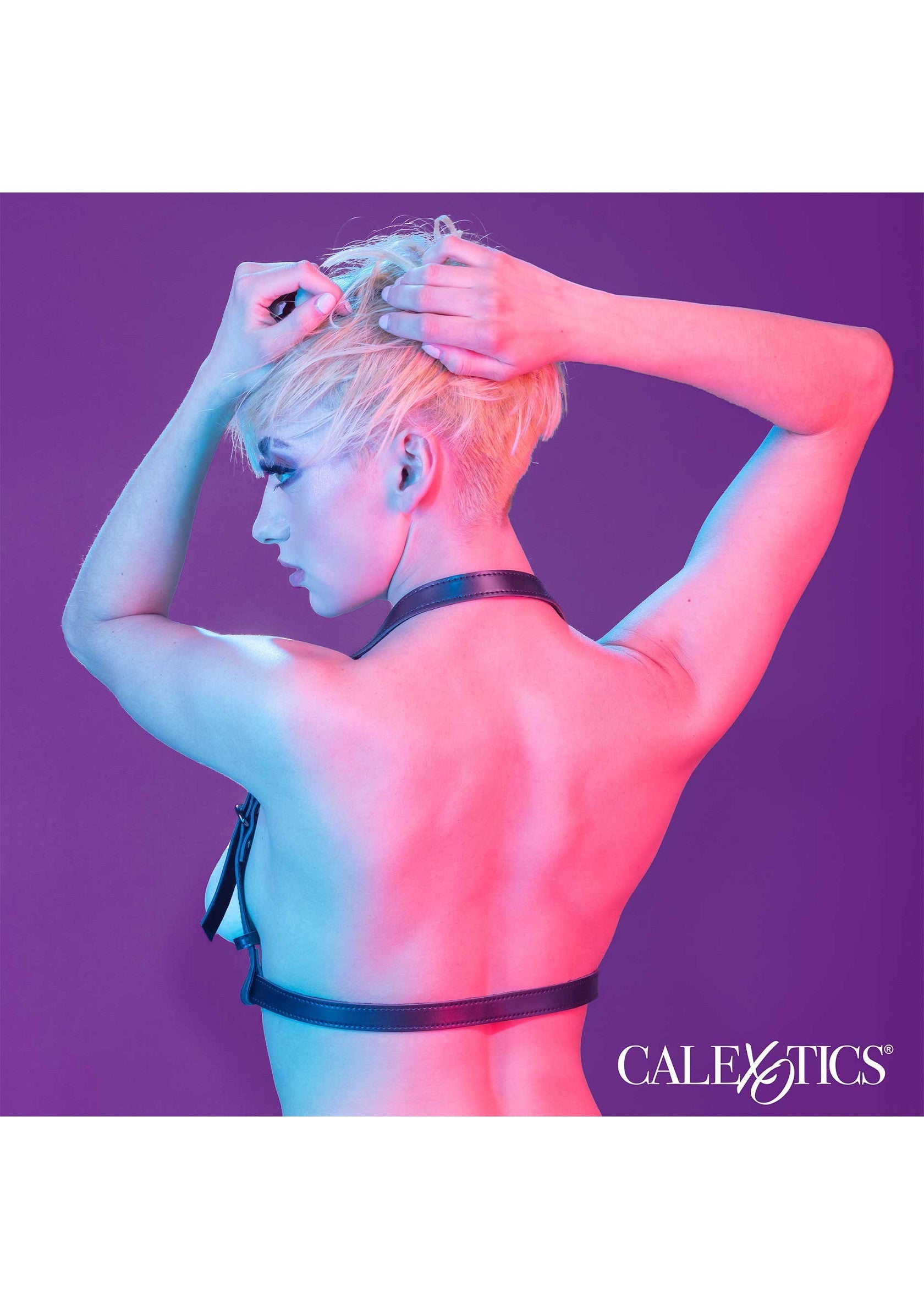 Harnais Calexotics élégant pour une allure sensuelle et moderne. Accessoire de mode audacieux et sophistiqué.; Stijlvol Calexotics harnas voor een sensuele, moderne look. Een gedurfd en verfijnd modeaccessoire.; Stylish Calexotics harness for a sensual, modern look. A bold and sophisticated fashion accessory.