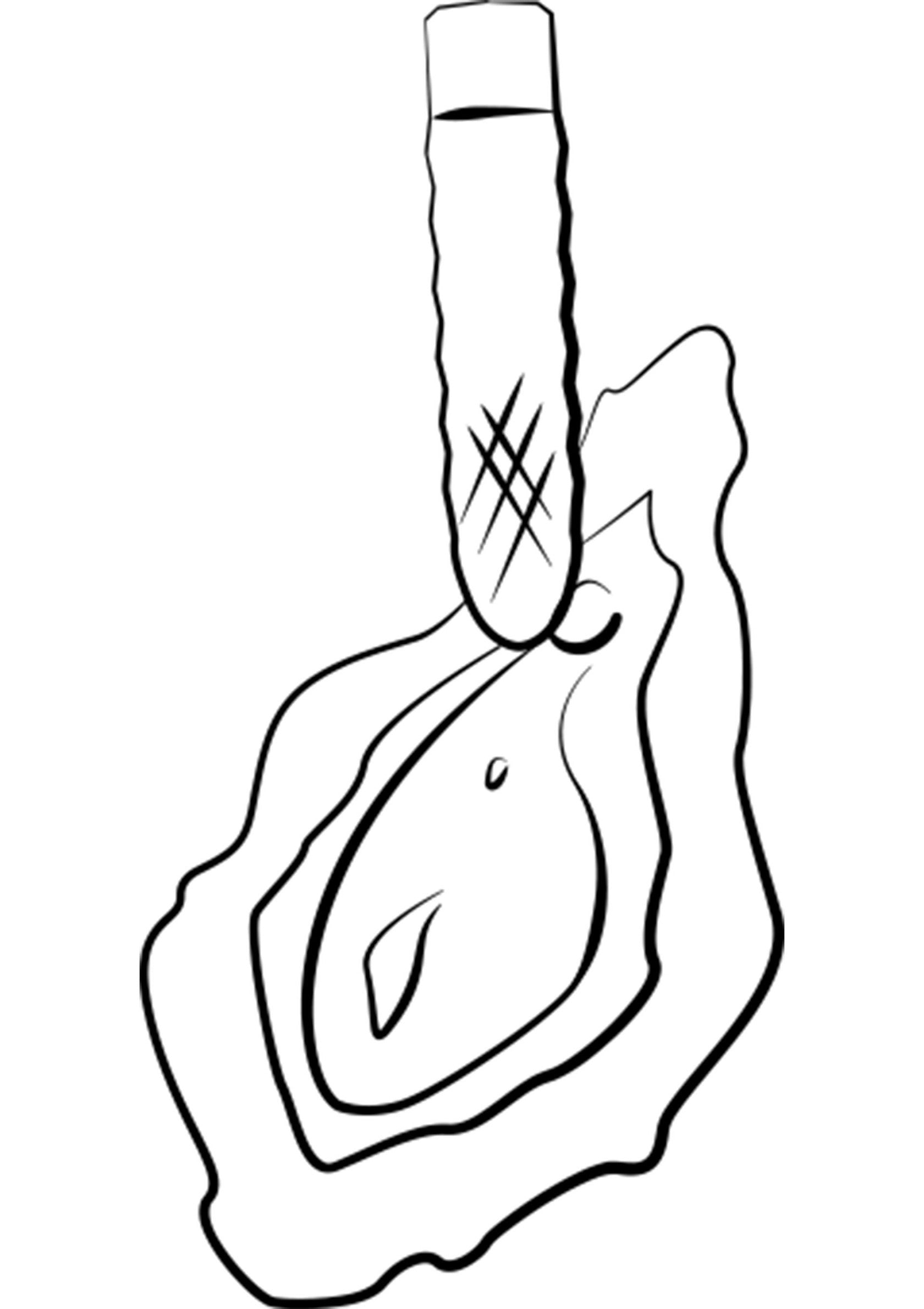 Illustration d'huître fraîche ouverte avec un couteau. Fruits de mer délicieux !; Illustratie van verse oester die opengebroken wordt met een mes. Heerlijke zeevruchten!; Illustration of fresh oyster being opened with knife. Delicious seafood!