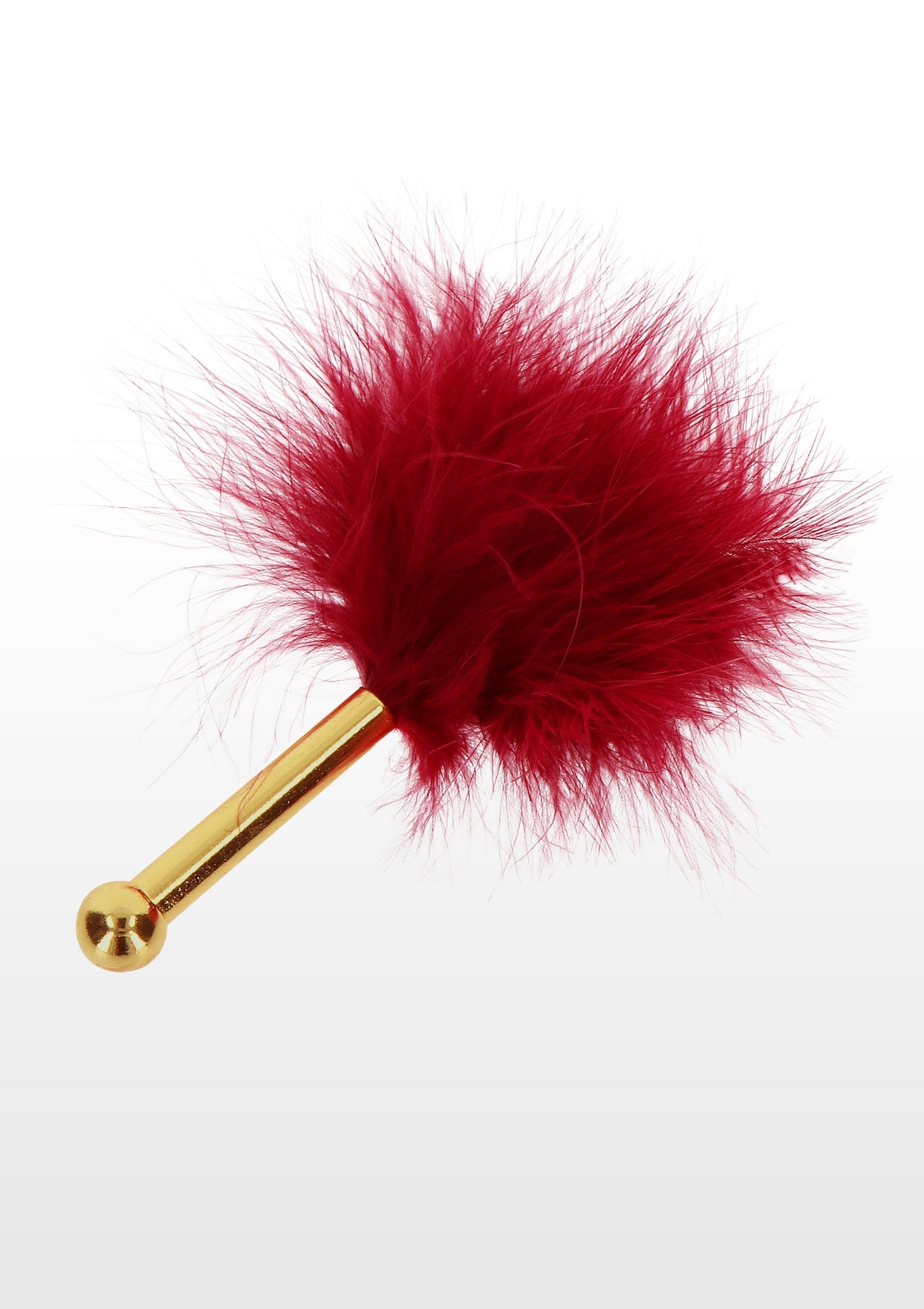 Plumeau rouge avec manche doré pour chatouiller ou décorer.; Rode veren plumeau met gouden handvat om te kietelen of decoreren.; Red feather teaser with gold handle for tickling or decorating.