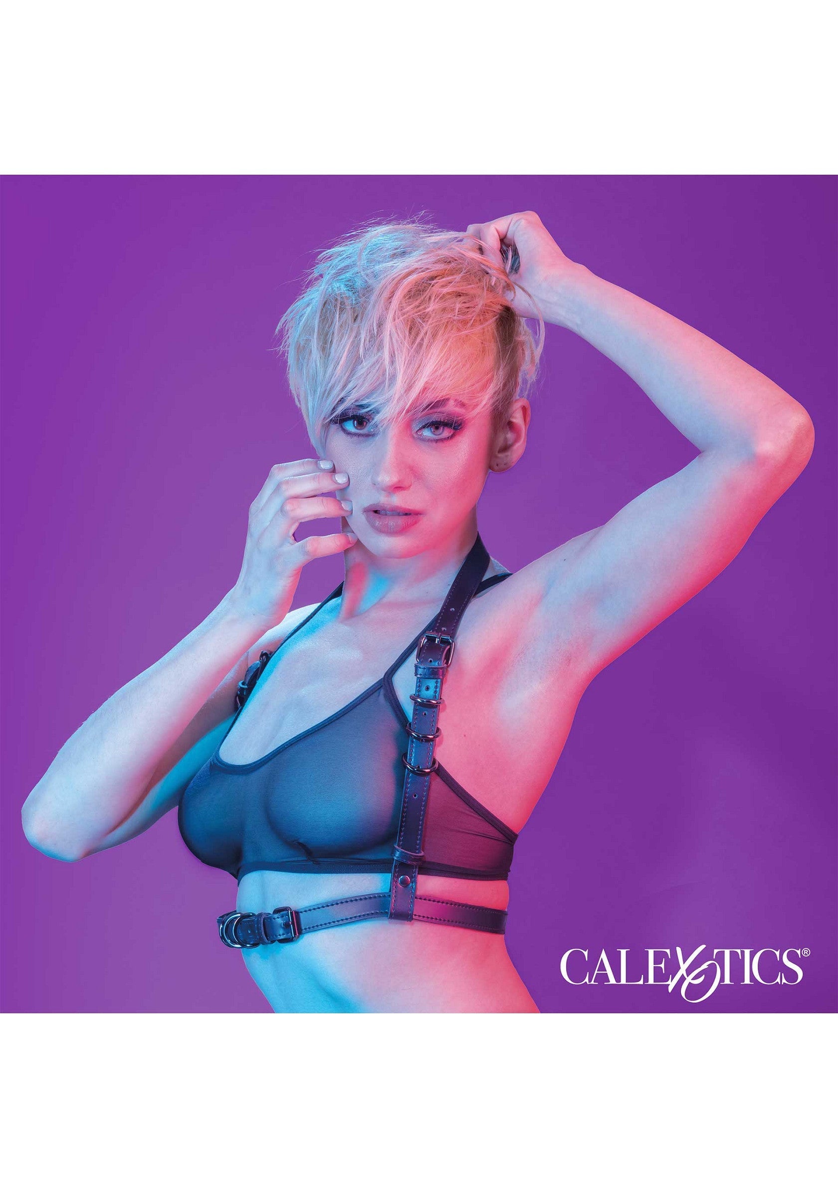 Harnais de corps noir sexy avec soutien-gorge en maille transparente et bretelles réglables.; Sexy zwart bodyharnas met doorzichtige mesh bh en verstelbare bandjes.; Sexy black body harness with see-through mesh bra and adjustable straps.