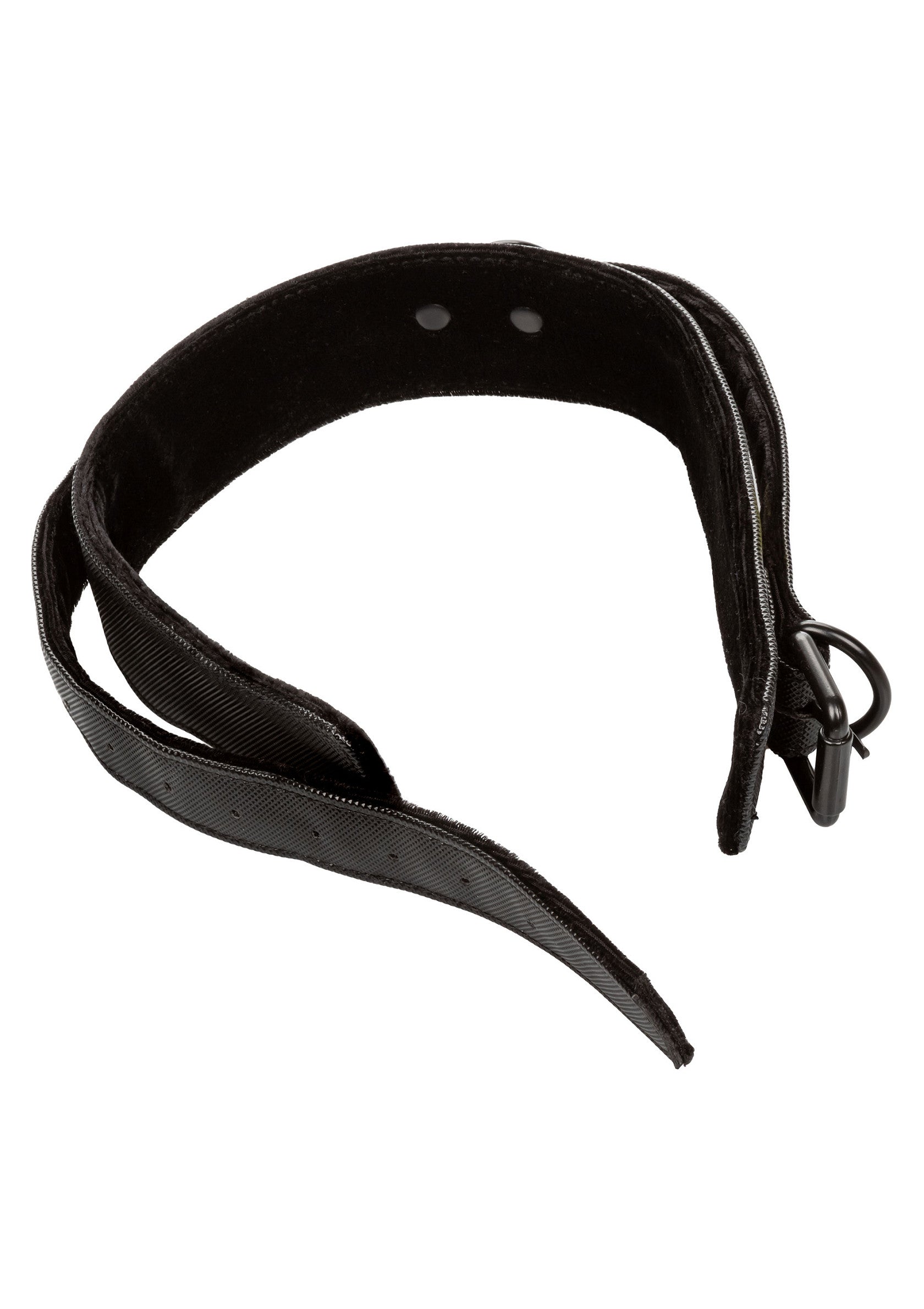 CalExotics Boundless Collar & Leash