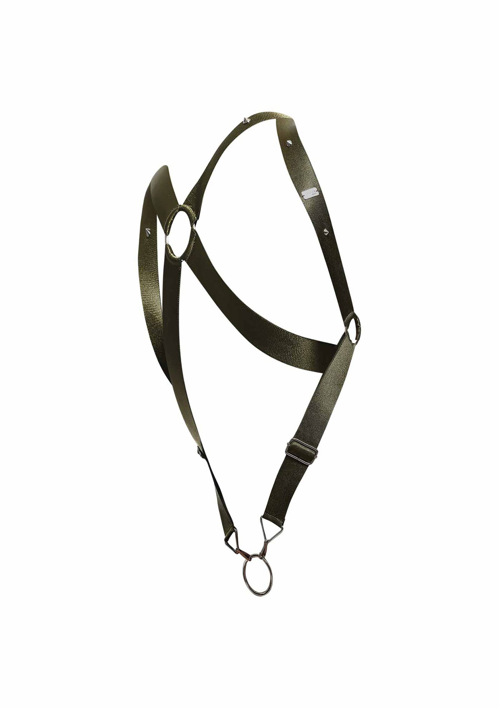 Harnais en sangle verte avec anneaux métalliques pour accessoires; Groen webbing harnas met metalen ringen voor accessoires; Green webbing harness with metal rings for accessories