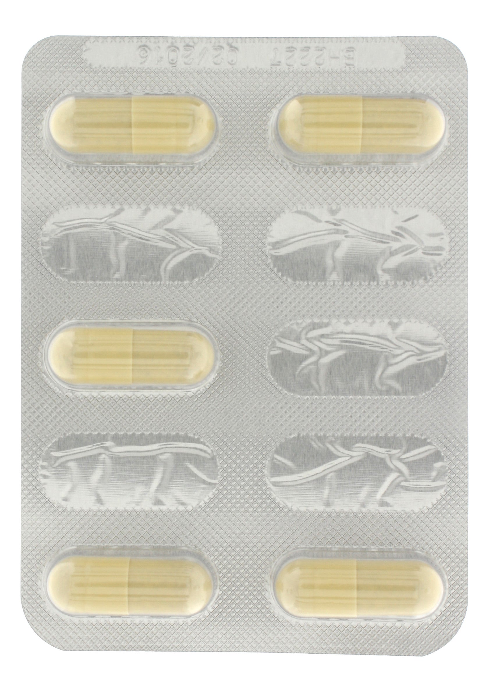 Plaquette thermoformée de capsules de médicaments beiges.; Blisterverpakking met beige medicijncapsules.; Blister pack of beige medication capsules.
