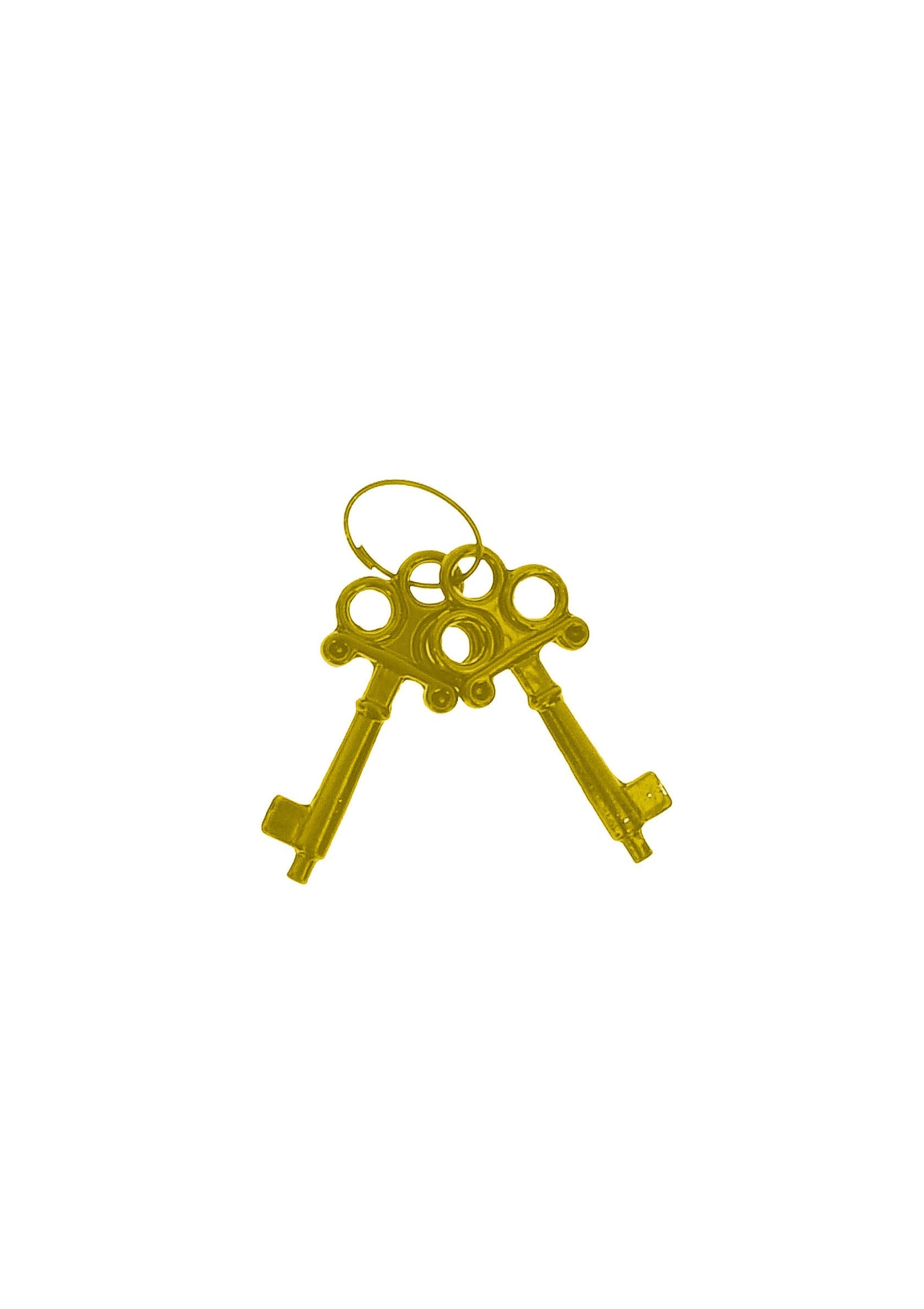 Clés dorées vintage. Parfait pour une déco rétro ou un costume d'époque.; Gouden vintage sleutels. Perfect voor retro decoratie of een kostuum uit die tijd.; Gold vintage keys. Perfect for retro decor or a period costume.