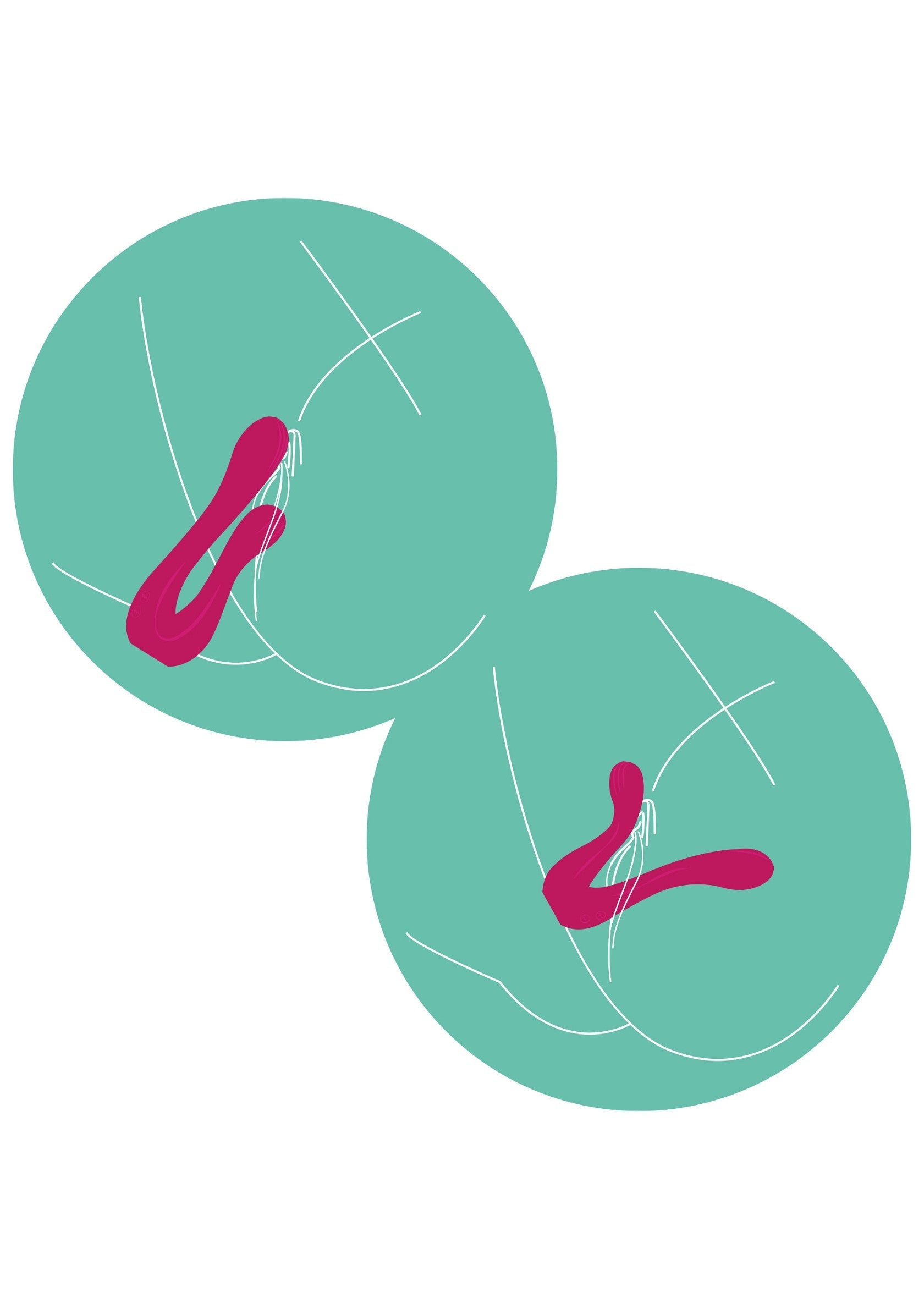 Illustrations ludiques de jouets pour adultes sur des cercles turquoise. Ajoutez une touche d'humour à votre boutique.; Speelse illustraties van speeltjes voor volwassenen op turquoise cirkels. Voeg een vleugje humor toe aan je winkel.; Playful illustrations of adult toys on turquoise circles. Add a touch of humor to your shop.