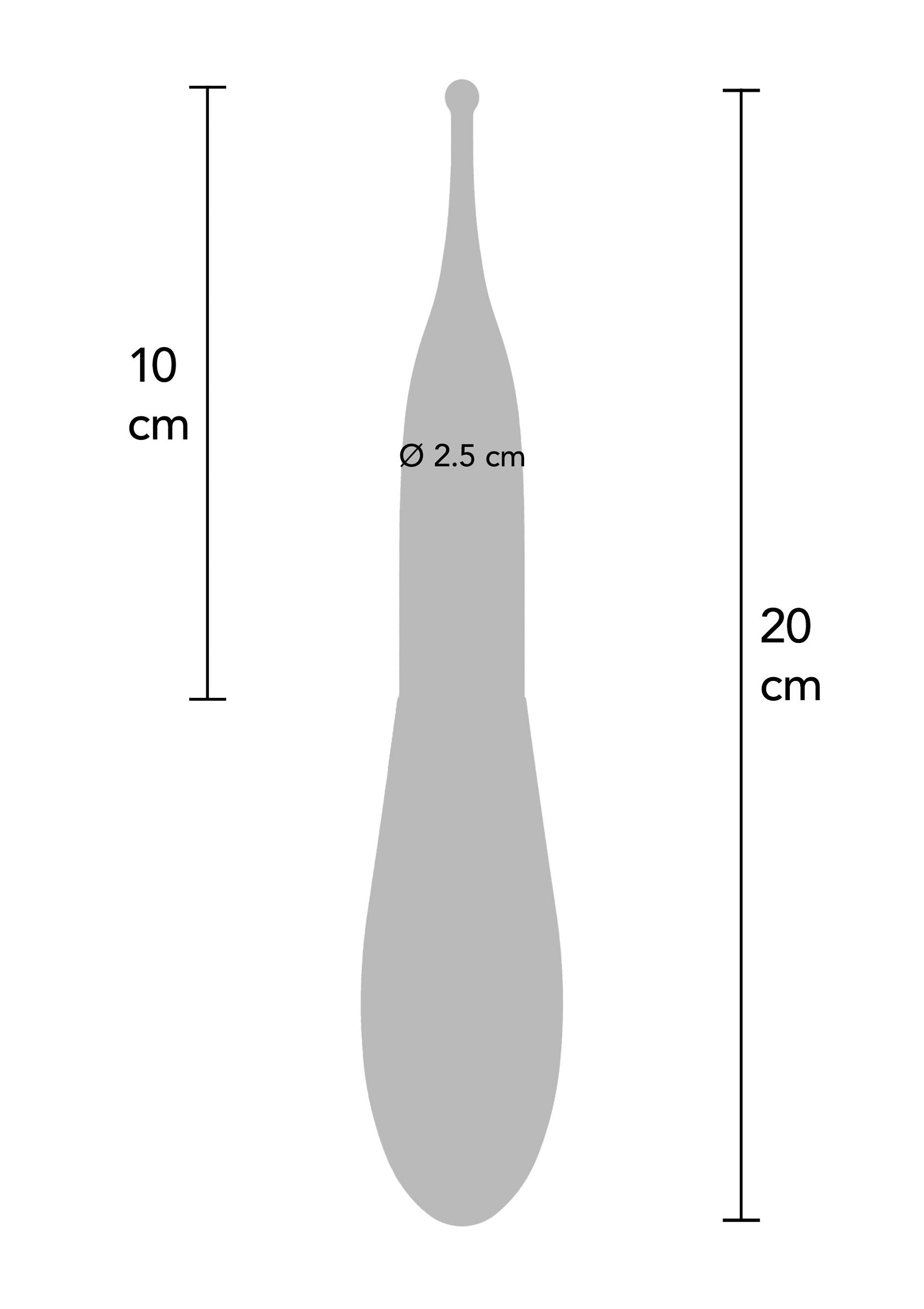 Schéma d'une sonde en forme de larme, 20 cm de long et 2.5 cm de large.; Diagram van een peervormige sonde, 20 cm lang en 2,5 cm breed.; Diagram of a teardrop-shaped probe, 20 cm long and 2.5 cm wide.