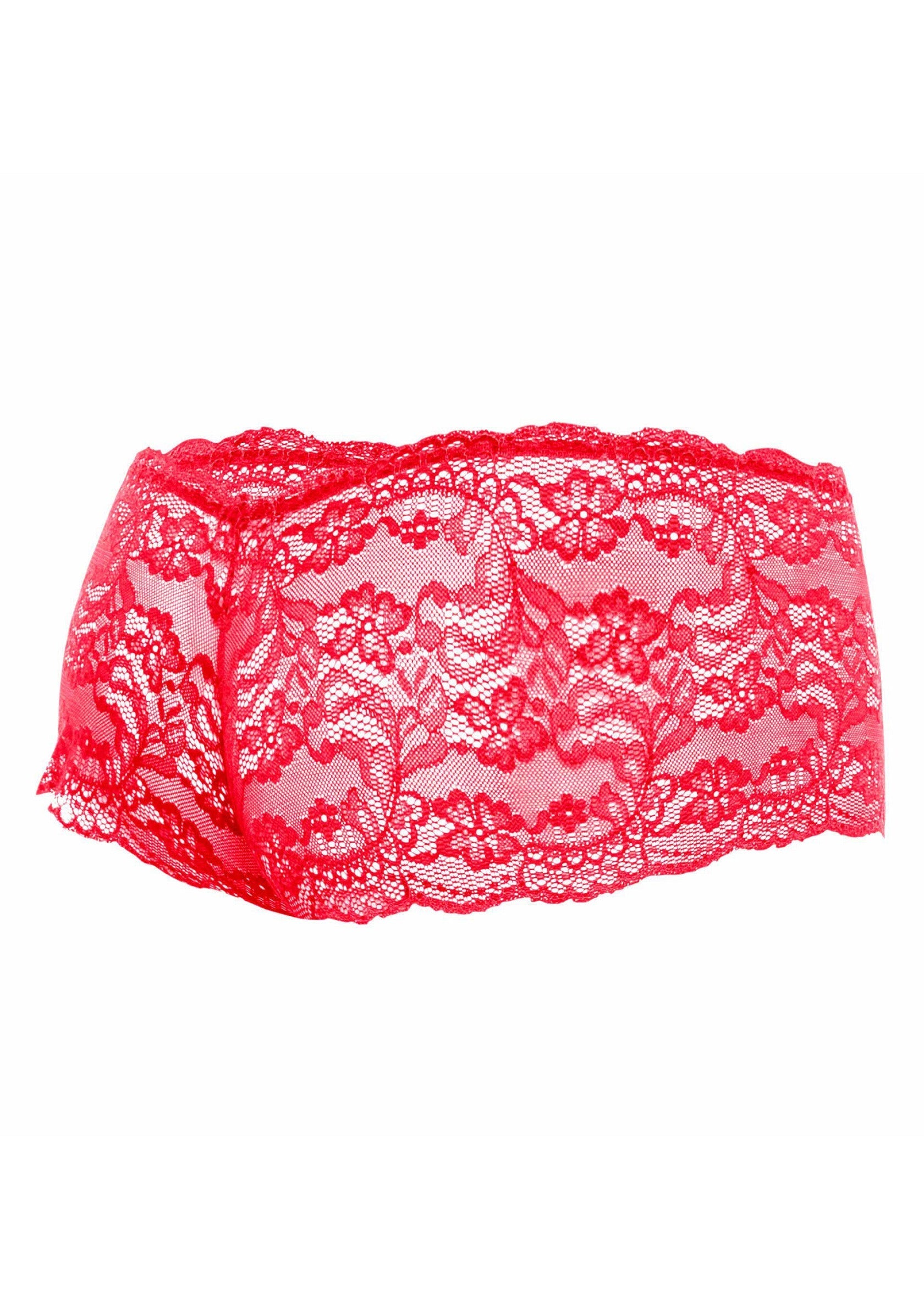 Culotte rouge en dentelle florale, lingerie sexy et féminine.; Rode kanten slip met bloemmotief, sexy en vrouwelijk lingerie.; Red floral lace panties, sexy and feminine lingerie.