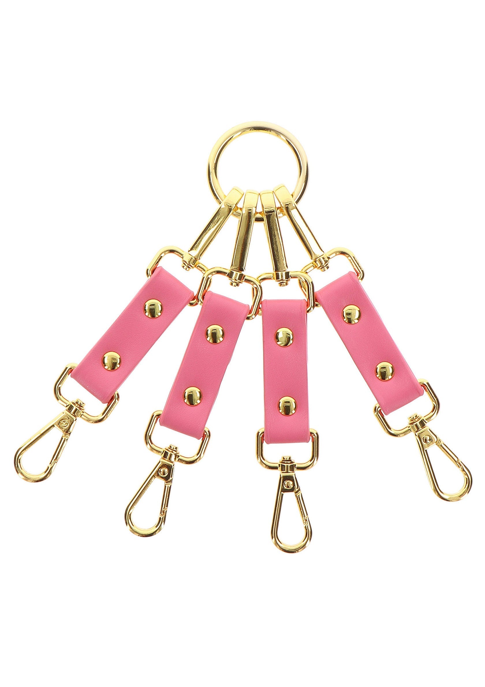 Porte-clés rose avec attaches dorées, idéal pour organiser vos clés avec style. Accessoire tendance et pratique.; Roze sleutelhanger met gouden sluitingen, ideaal om je sleutels stijlvol te ordenen. Trendy en praktisch accessoire.; Pink keychain with gold clasps, ideal for organizing your keys in style. Trendy and practical accessory.