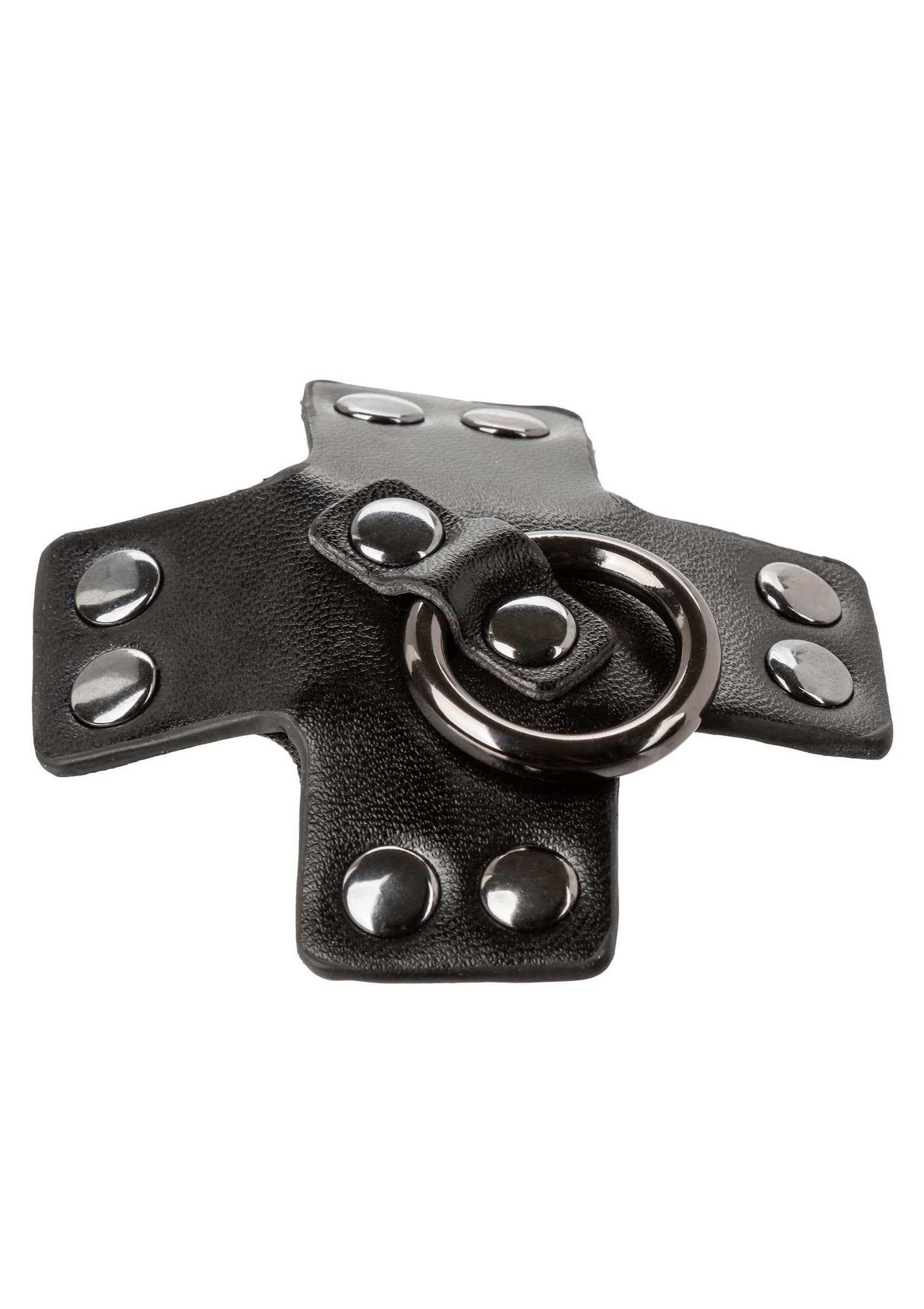 Accessoire en cuir noir avec anneau en métal, style gothique ou punk. Accessoires de mode.; Zwart lederen accessoire met metalen ring, gothic of punk stijl. Mode accessoires.; Black leather accessory with metal ring, gothic or punk style. Fashion accessories.