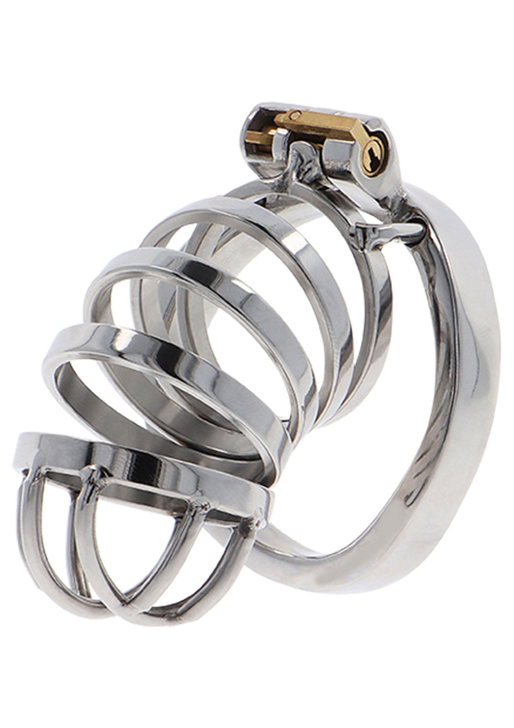 Hidden Desire Chastity Cock Cage Metal