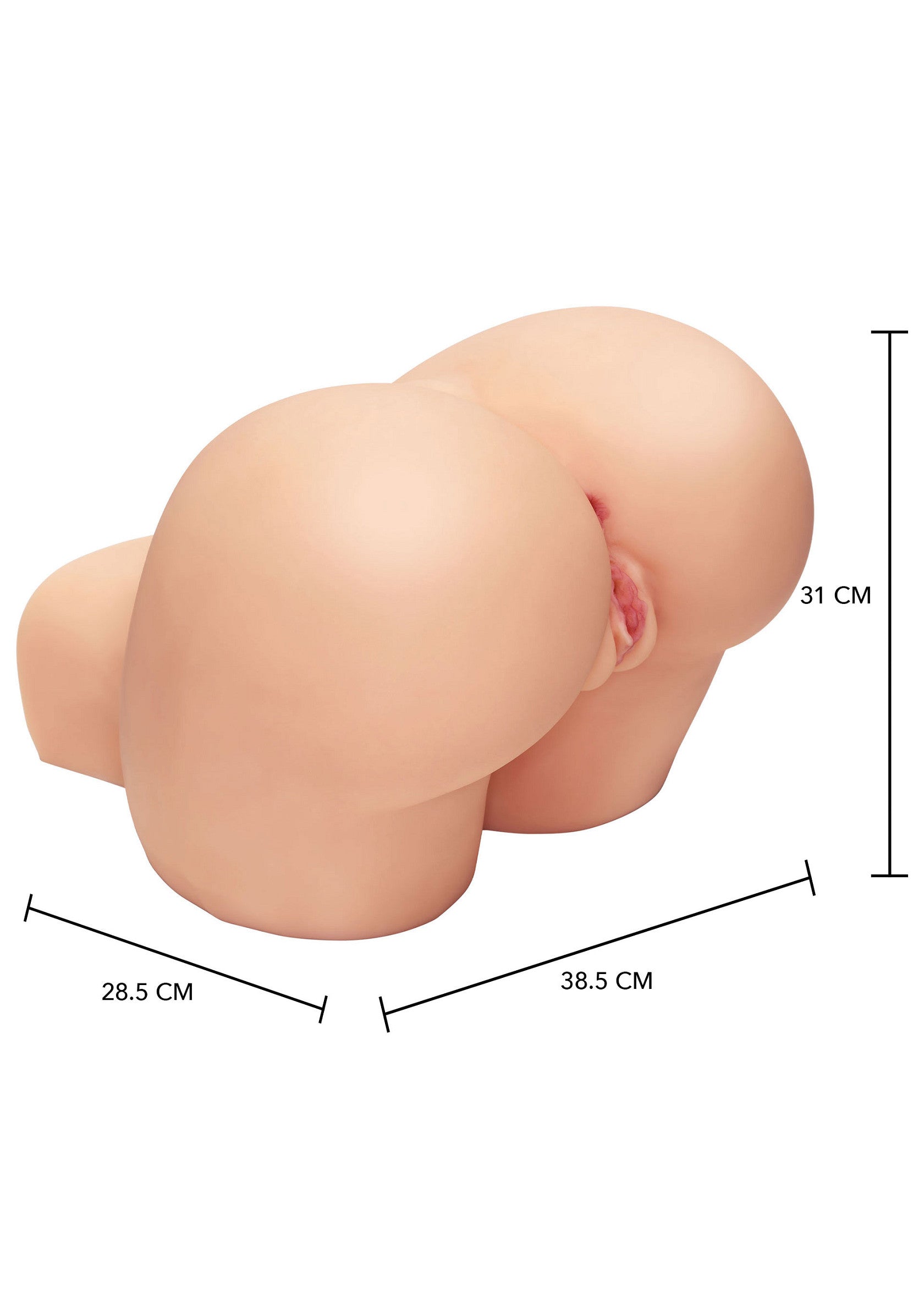 Fessier réaliste avec dimensions. Pour adultes. Texturé pour plus de plaisir. 31cm de haut, 28.5cm de large, 38.5cm de long.; Realistische billen met afmetingen. Voor volwassenen. Gestructureerd voor extra plezier. 31cm hoog, 28.5cm breed, 38.5cm lang.; Realistic ass with dimensions. For adults. Textured for extra pleasure. 31cm height, 28.5cm width, 38.5cm length.