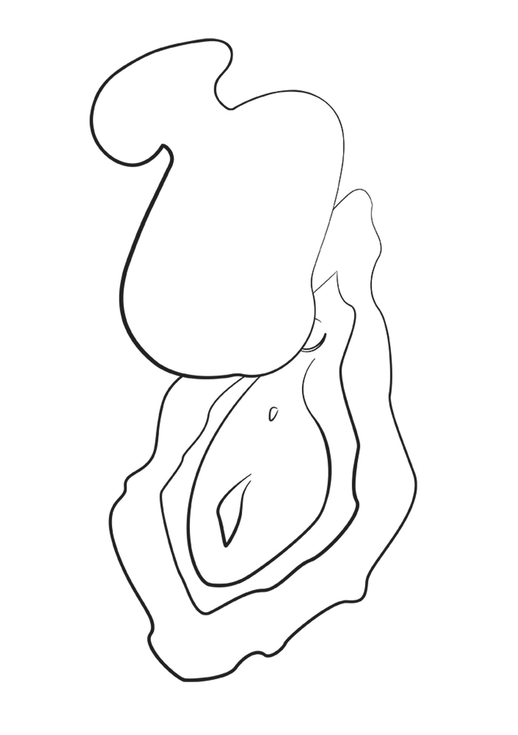 Illustration minimaliste d'une huître ouverte avec une perle. Design épuré et élégant.; Minimalistische illustratie van een geopende oester met een parel. Strak en elegant ontwerp.; Minimalist illustration of an opened oyster with a pearl. Clean and elegant design.