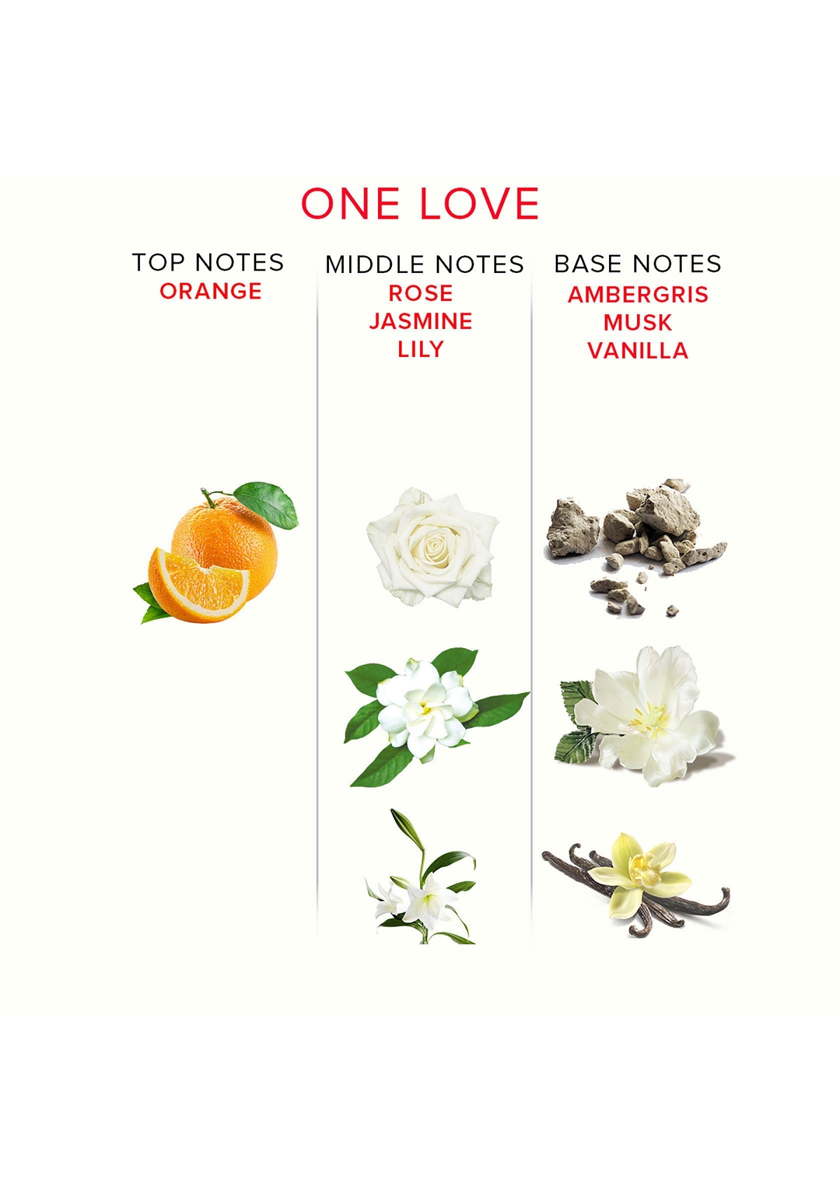 Parfum 'One Love' aux notes d'orange, rose, jasmin, ambre gris, musc et vanille. Un parfum floral et sensuel parfait pour toutes les occasions.; 'One Love' parfum met tonen van sinaasappel, roos, jasmijn, ambergris, musk en vanille. Een florale en sensuele geur, perfect voor elke gelegenheid.; 'One Love' perfume with notes of orange, rose, jasmine, ambergris, musk, and vanilla. A floral and sensual fragrance perfect for any occasion.