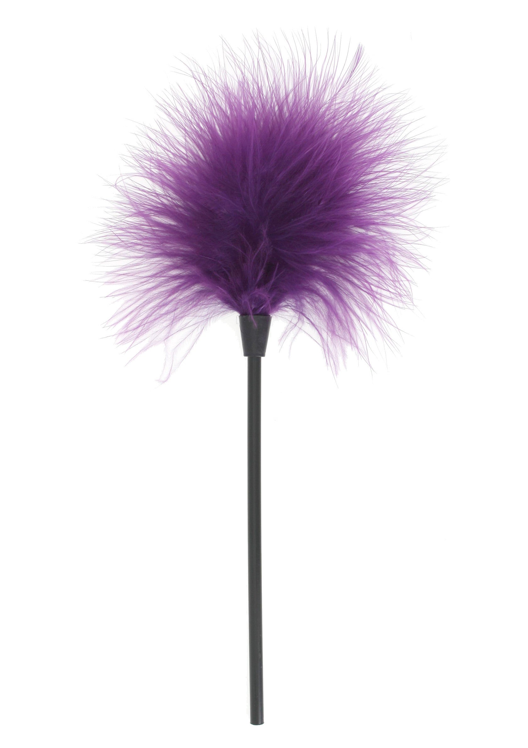 Plumeau violet élégant. Accessoire raffiné pour jeux de séduction.; Elegante paarse verenpluim. Verfijnde accessoire voor verleidingsspelletjes.; Elegant purple feather tickler. Refined accessory for seduction games.