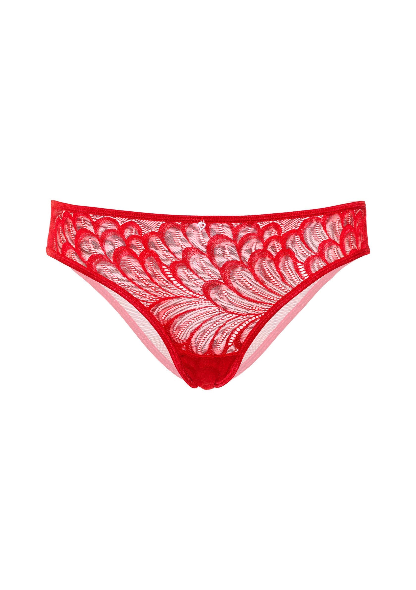 Culotte rouge en dentelle florale, lingerie féminine élégante et confortable.; Rode kanten slip met bloemmotief, elegante en comfortabele dameslingerie.; Red floral lace brief, elegant and comfortable women's lingerie.