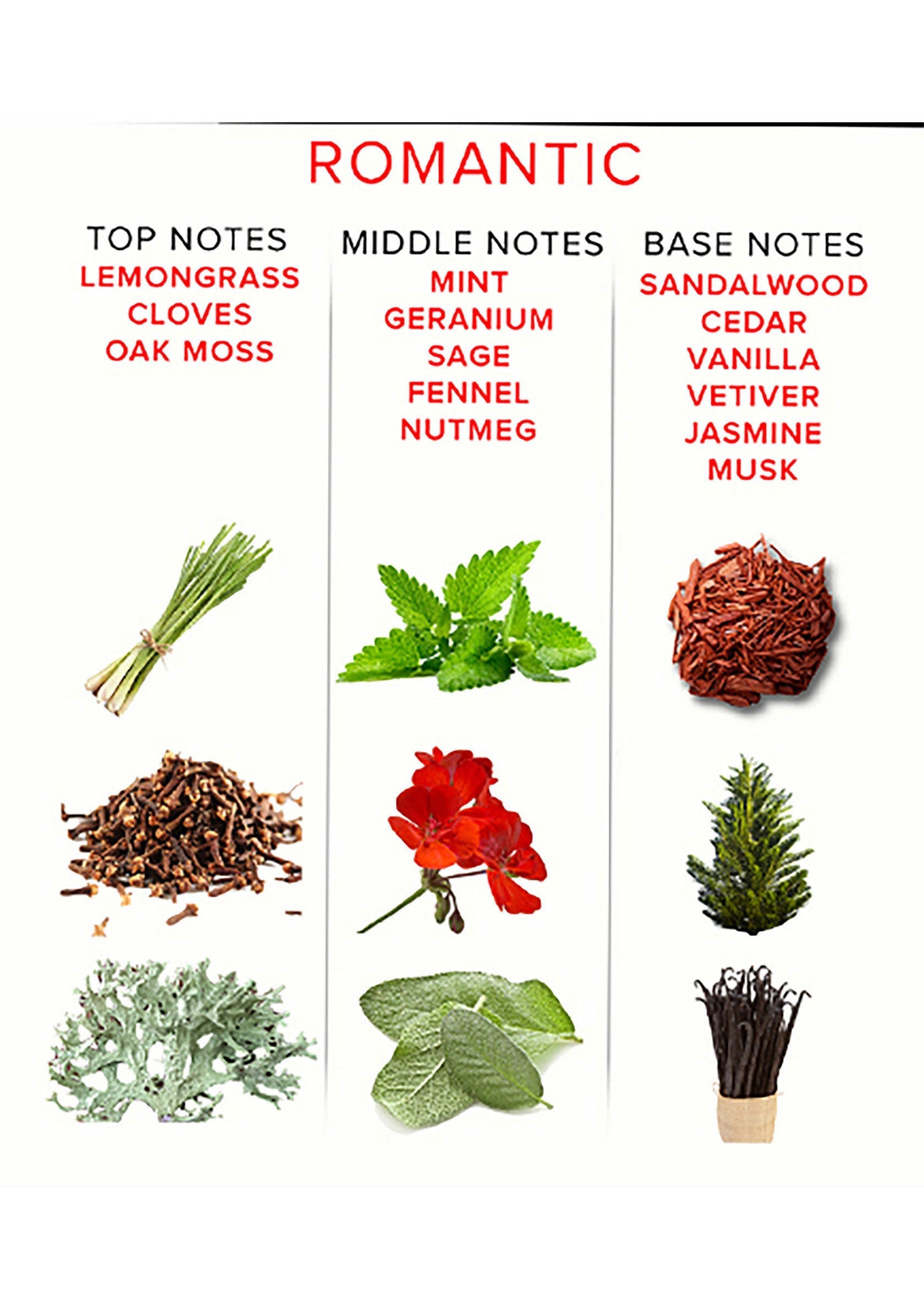 Notes parfumées romantiques: lemongrass, clous de girofle, menthe, géranium, bois de santal, cèdre, vanille, vétiver, jasmin, musc.; Romantische geurnoten: citroengras, kruidnagel, munt, geranium, sandelhout, ceder, vanille, vetiver, jasmijn, muskus.; Romantic fragrance notes: lemongrass, cloves, mint, geranium, sandalwood, cedar, vanilla, vetiver, jasmine, musk.