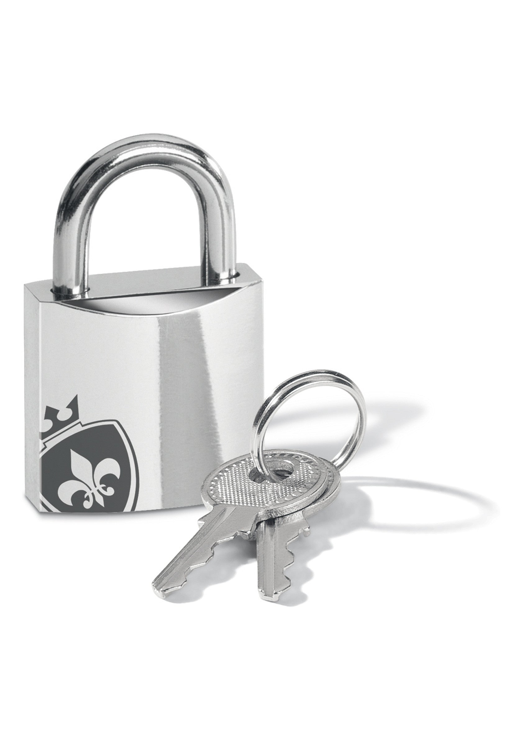 Cadenas argenté avec deux clés, idéal pour la sécurité de vos biens.; Zilverkleurig hangslot met twee sleutels, ideaal voor de beveiliging van uw spullen.; Silver padlock with two keys, ideal for securing your belongings.