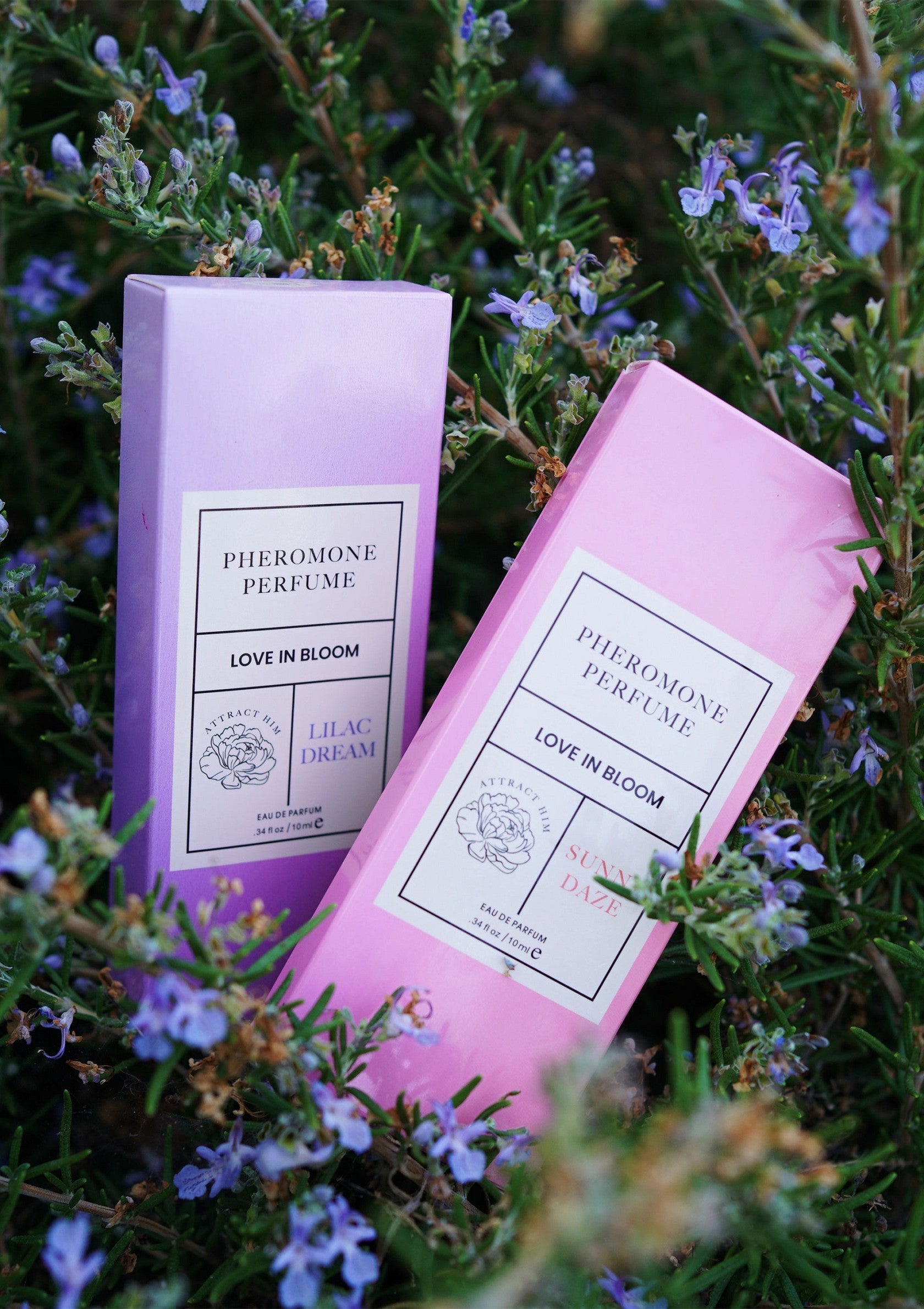 Parfums aux phéromones Love in Bloom, senteurs lilas et soleil. Découvrez nos fragrances florales pour attirer l'amour!; Feromoonparfums Love in Bloom, met lila- en zonnegeuren. Ontdek onze bloemige geuren om liefde aan te trekken!; Pheromone Perfumes Love in Bloom, lilac & sun scents. Discover our floral fragrances to attract love! 