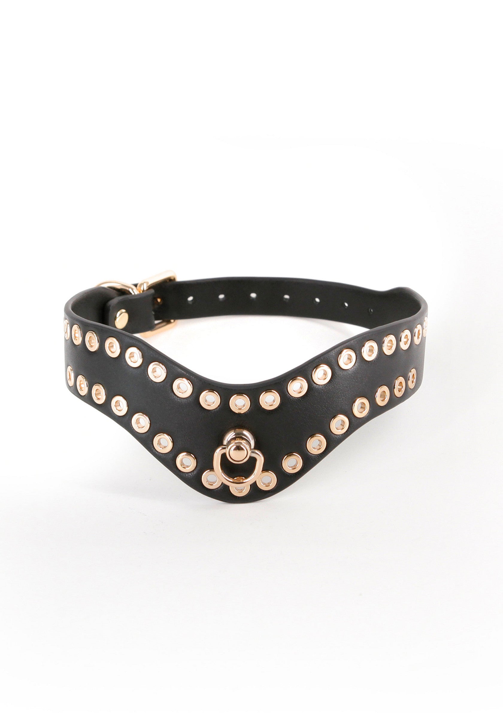 Collier clouté noir et doré.; Zwarte halsband met gouden studs.; Black studded collar with gold details.