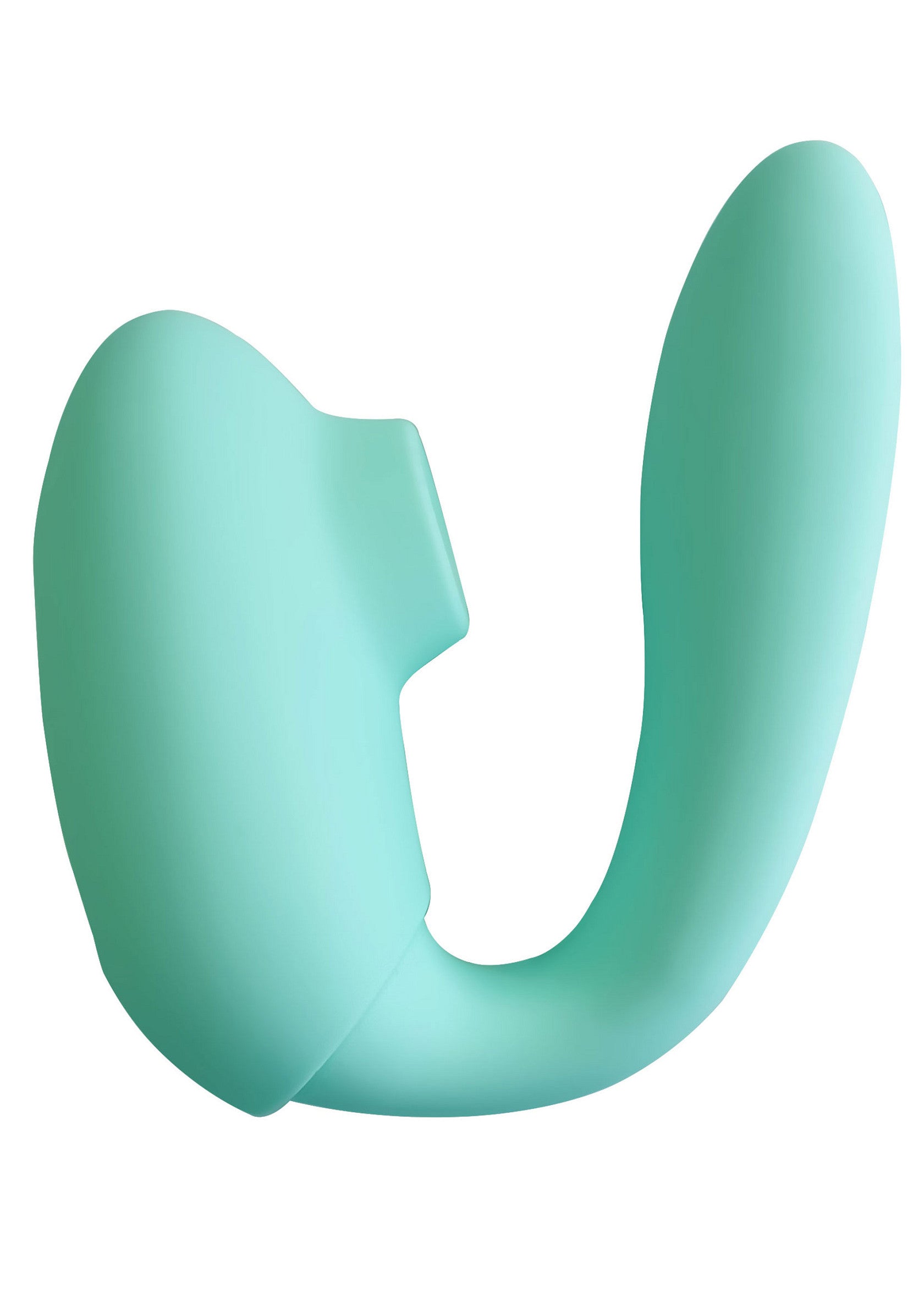 Masseur de prostate turquoise pour le plaisir; Turkooizen prostaat stimulator voor genot; Teal prostate massager for pleasure