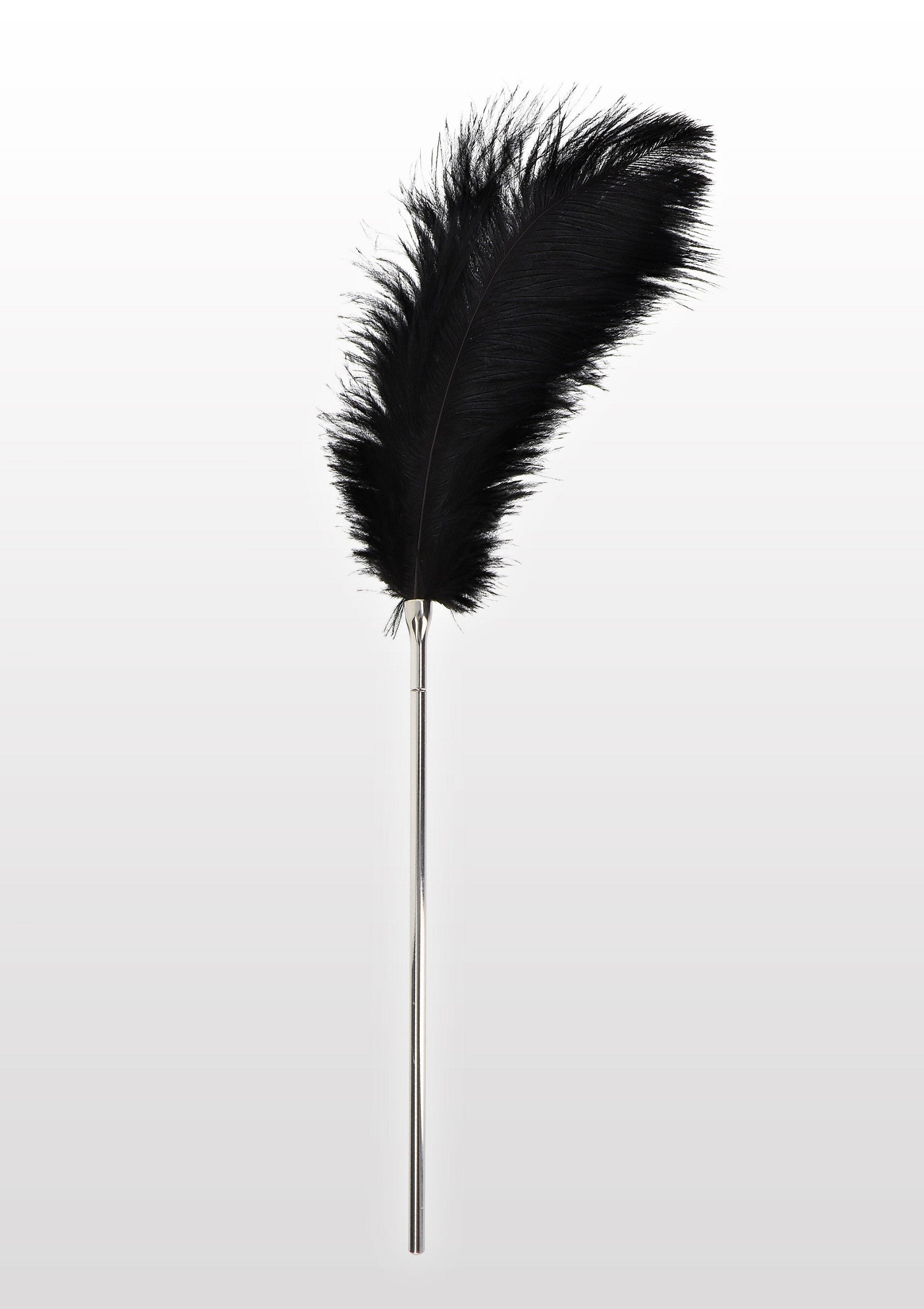 Plumeau noir de luxe avec manche en métal. Accessoire élégant pour le nettoyage et la décoration.; Luxe zwarte plumeau met metalen handvat. Stijlvol accessoire voor reiniging en decoratie.; Luxury black feather duster with metal handle. Stylish accessory for cleaning and decoration.