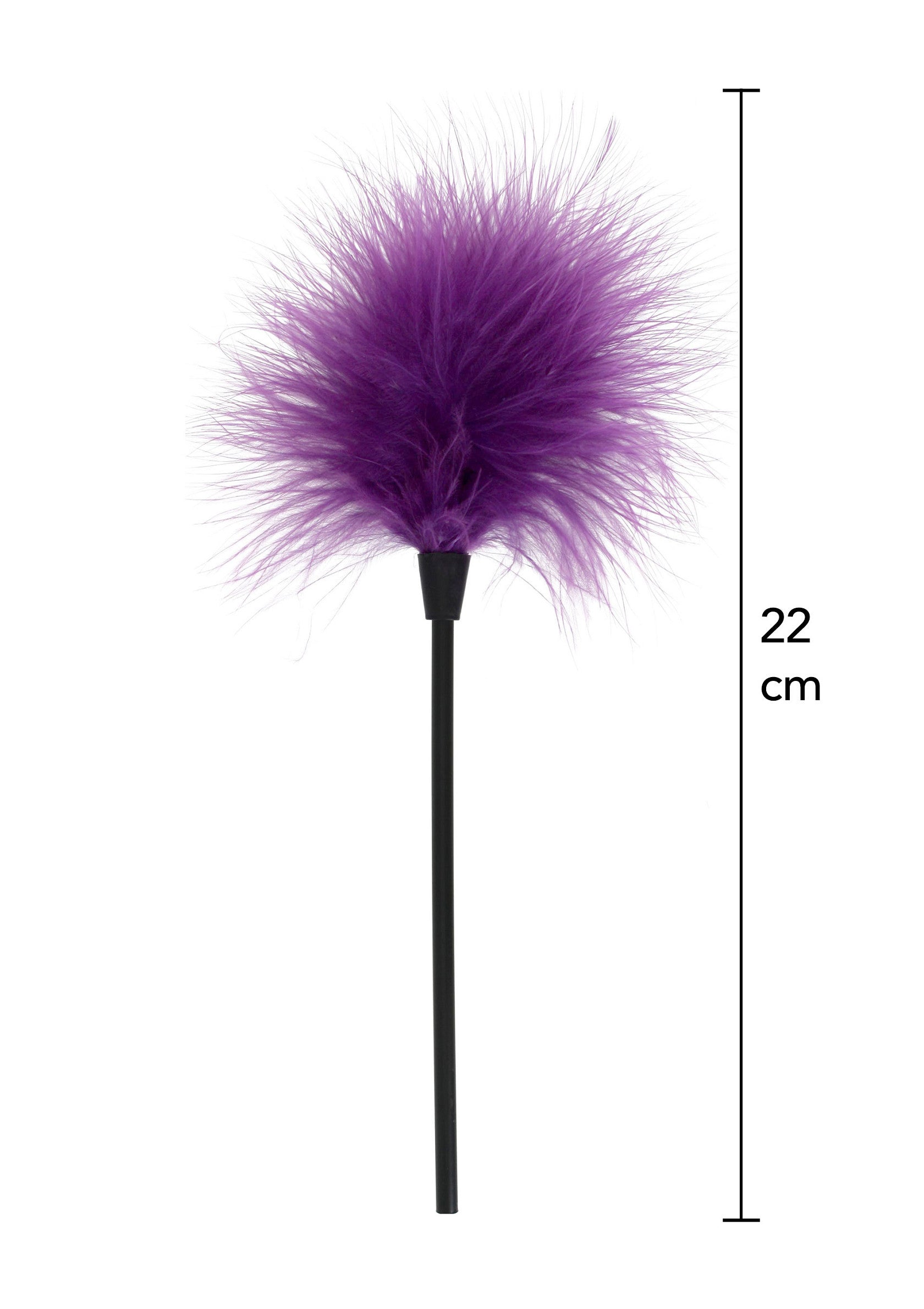 Plumeau de chat violet de 22 cm pour divertir et stimuler votre félin.; Paarse verenpluim van 22 cm voor katten, voor vermaak en stimulatie.; 22cm purple feather cat teaser wand for fun and stimulation.