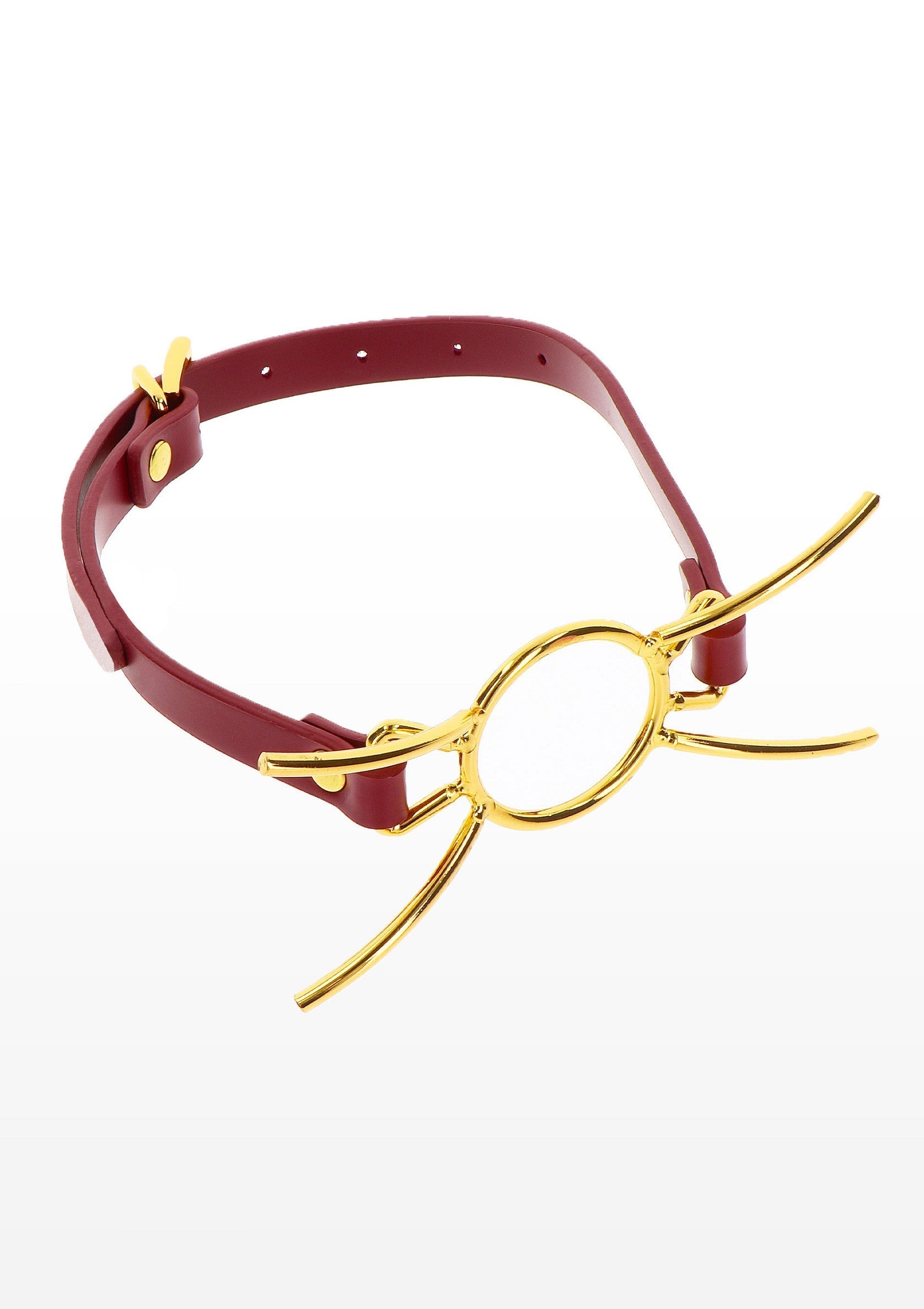 Collier bordeaux avec ornement doré pour un look élégant et unique. Découvrez notre collection de colliers!; Bordeaux halsband met gouden ornament voor een elegante, unieke look. Bekijk onze collectie halsbanden!; Burgundy collar with gold ornament for an elegant, unique look. Shop our collar collection now!