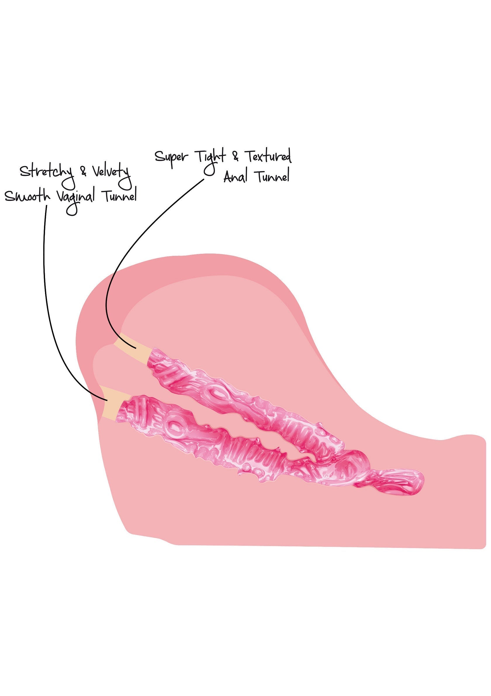 Jouet sexuel réaliste avec tunnel vaginal lisse et extensible et tunnel anal texturé et serré.; Realistisch seksspeeltje met gladde, rekbare vaginale tunnel en strakke, getextureerde anale tunnel.; Realistic sex toy with stretchy, smooth vaginal canal and tight, textured anal tunnel.